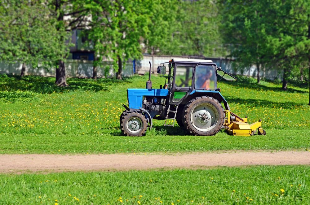 Blue Tractor Slashing Grass in a Park — Slash Mulch Co in Googa Creek, QLD