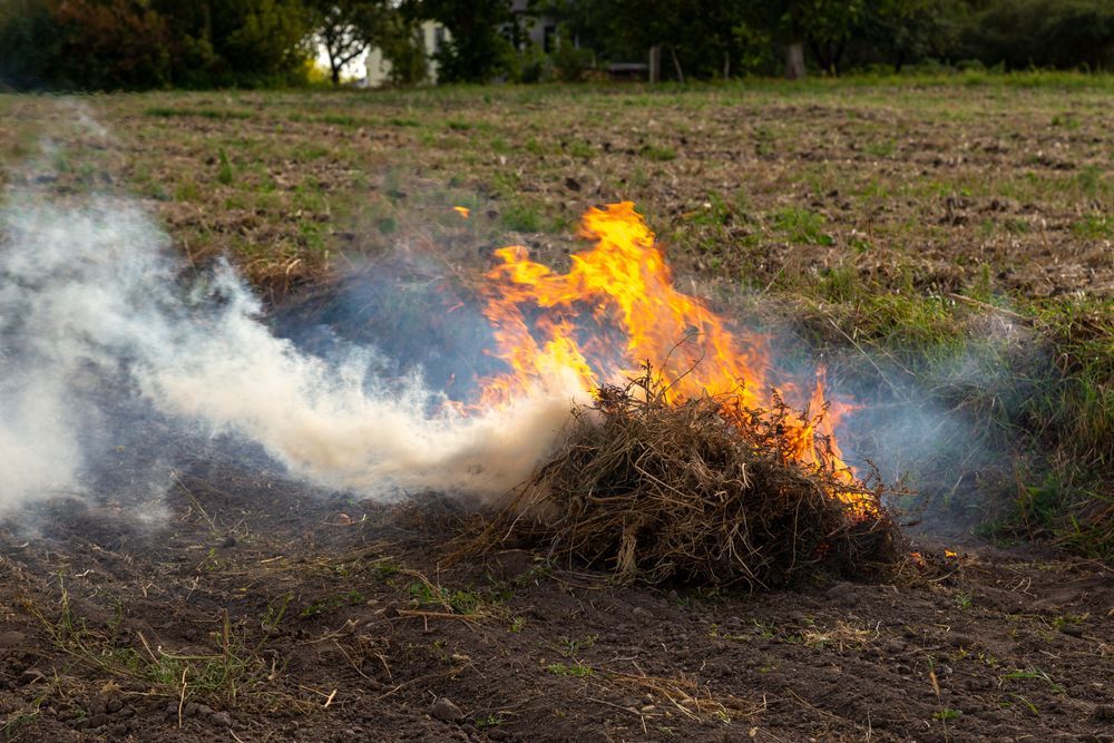 Burning Pile of Dry Brush With Orange Flames and White Smoke in a Field — Slash Mulch Co in Googa Creek, QLD