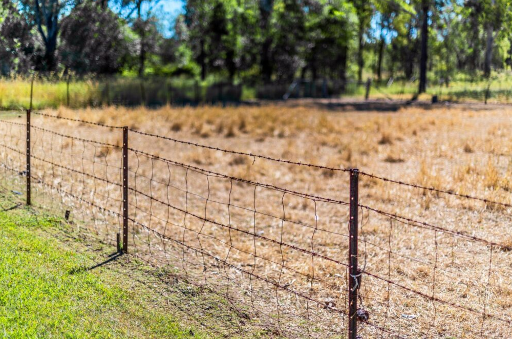 Rusty Wire Fence Separating Green Grass From Dry Field, Trees in the Background — Slash Mulch Co in Googa Creek, QLD