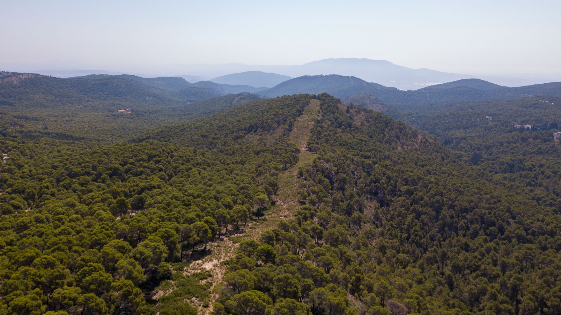 Wildfire Burning Through Dry Grass Field, With Black Smoke Billowing Into Blue Sky — Slash Mulch Co in Googa Creek, QLD