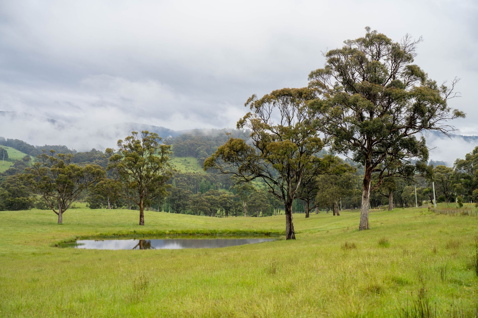Grassy field with a small pond and trees, misty green hills in the background under a cloudy sky.  Slash Mulch Co in Googa Creek, QLD