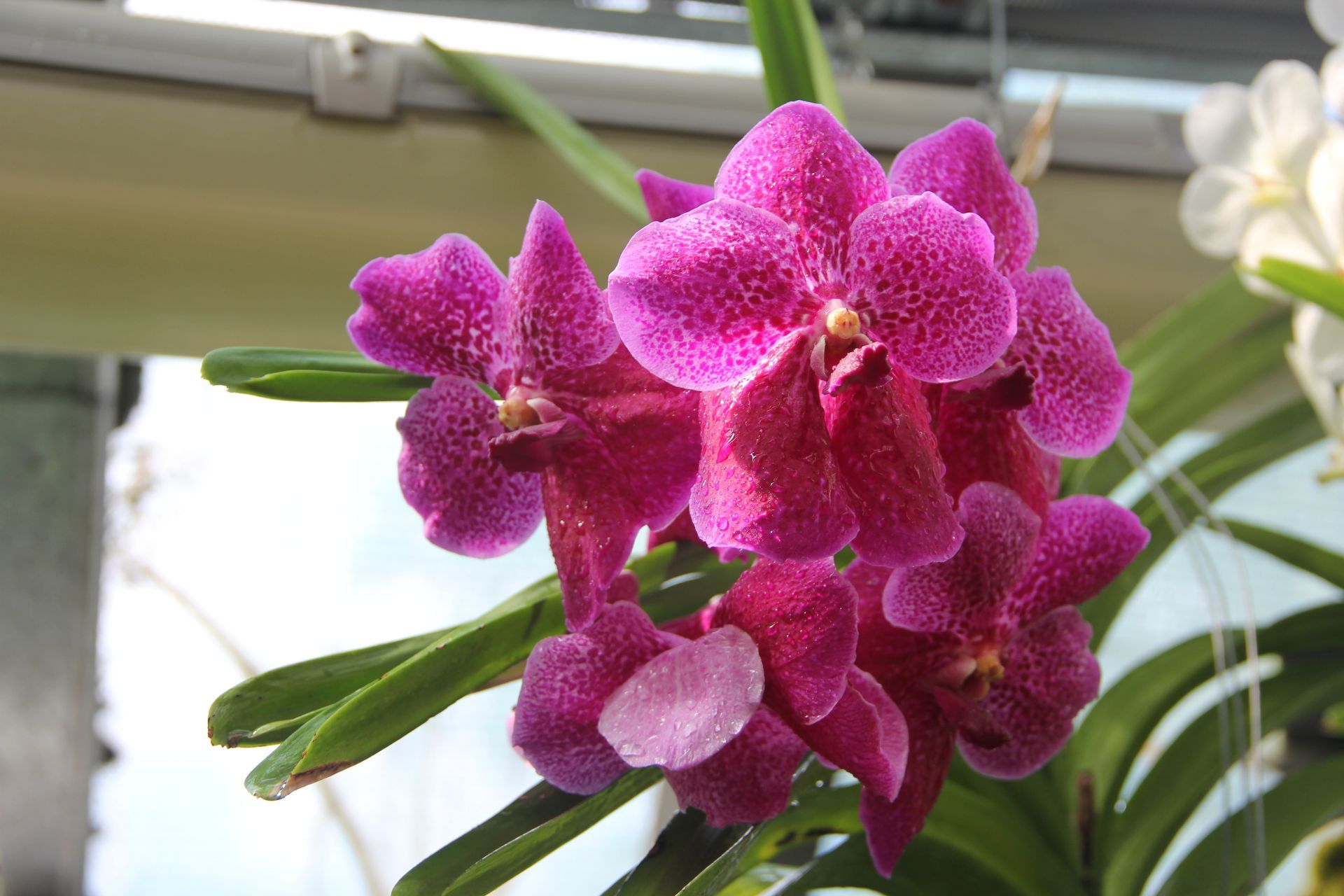 Colorful floral bouquet wrapped in brown paper, on a wooden crate.