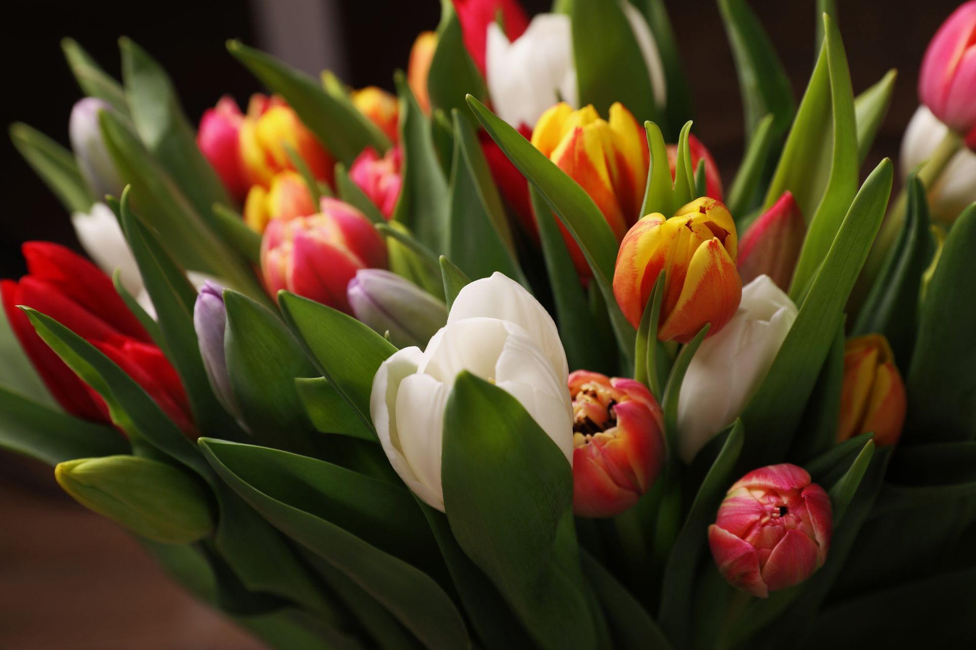 Bouquet of colorful tulips in red, yellow, orange, white, and pink, with green leaves.