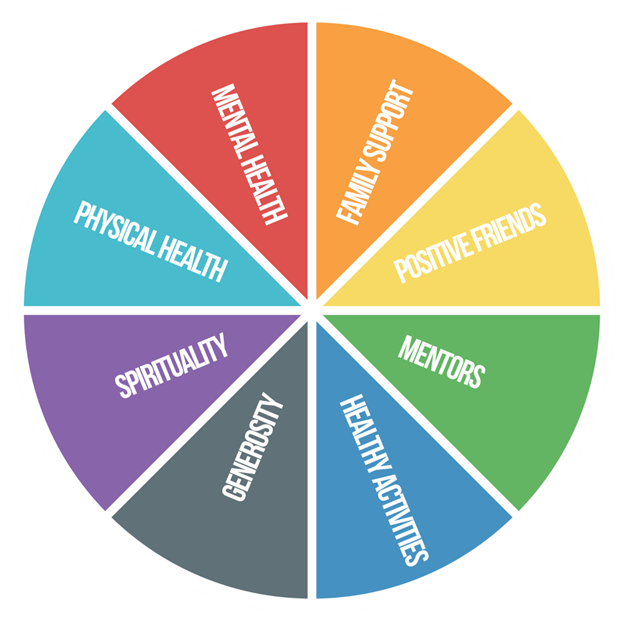 A pie chart with physical health mental health family support spirituality mentors and healthy activities