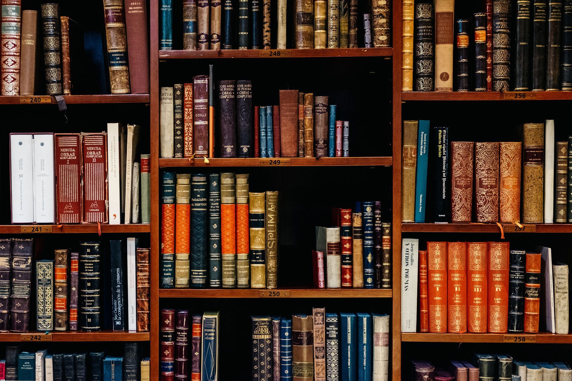 Almeida Garrett Municipal Library