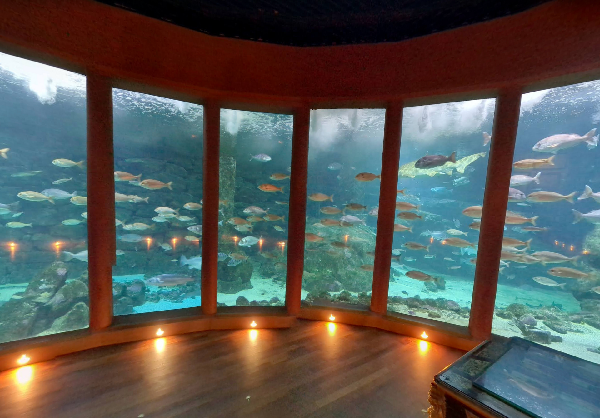Aquarium Finisterrae by Google Earth