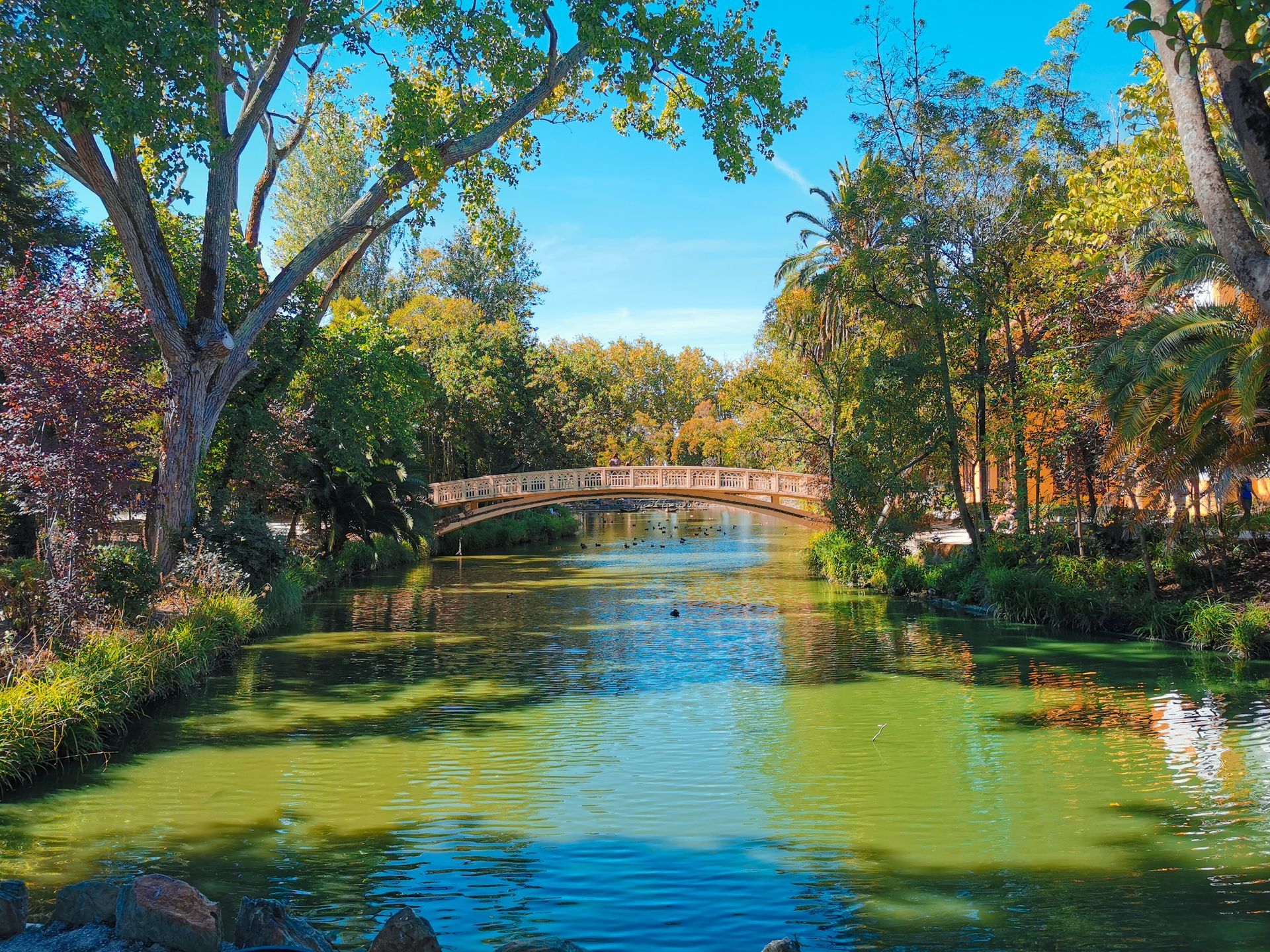 Aveiro's Parks and Gardens