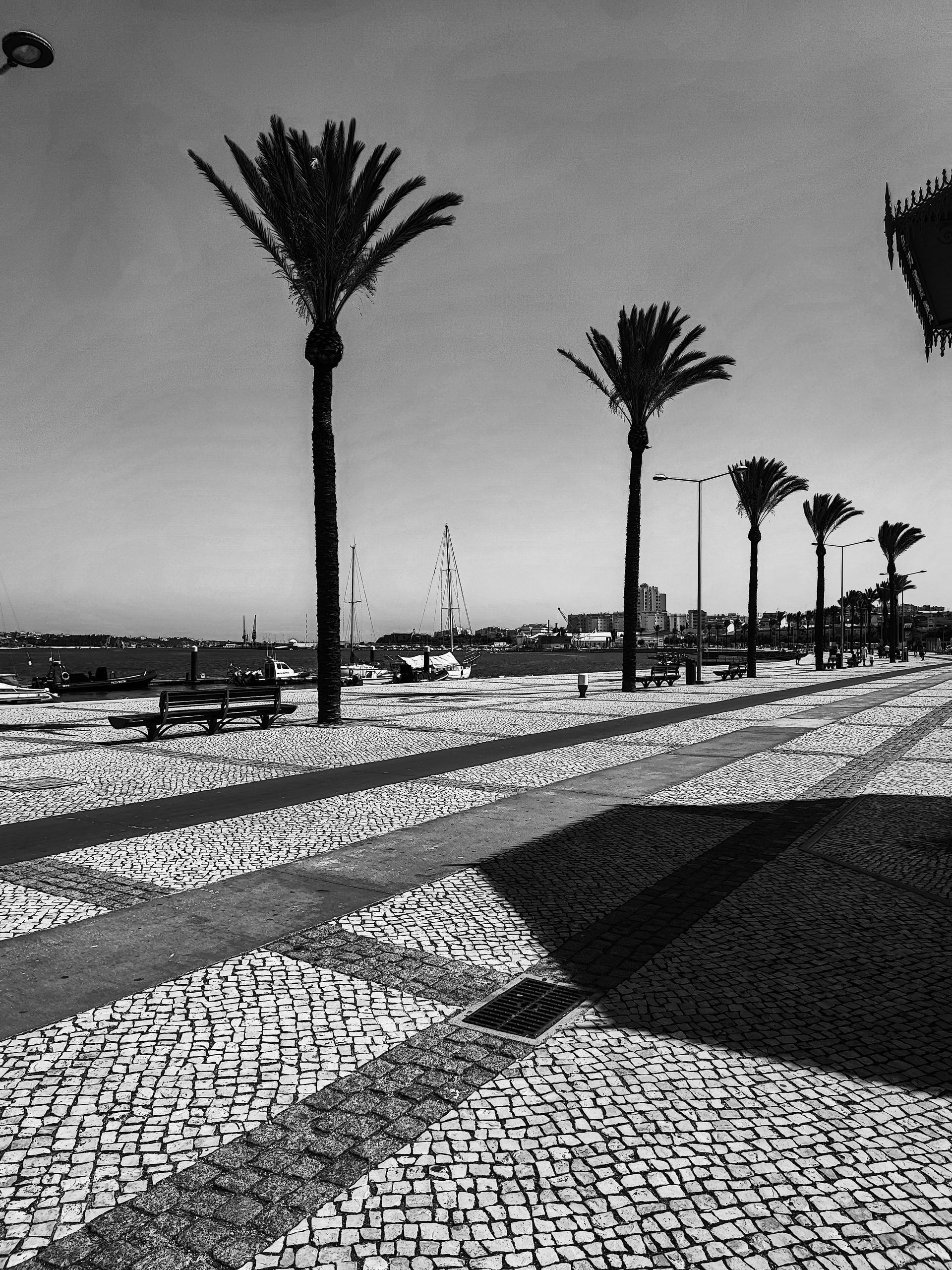 Avenida Tomás Cabreira