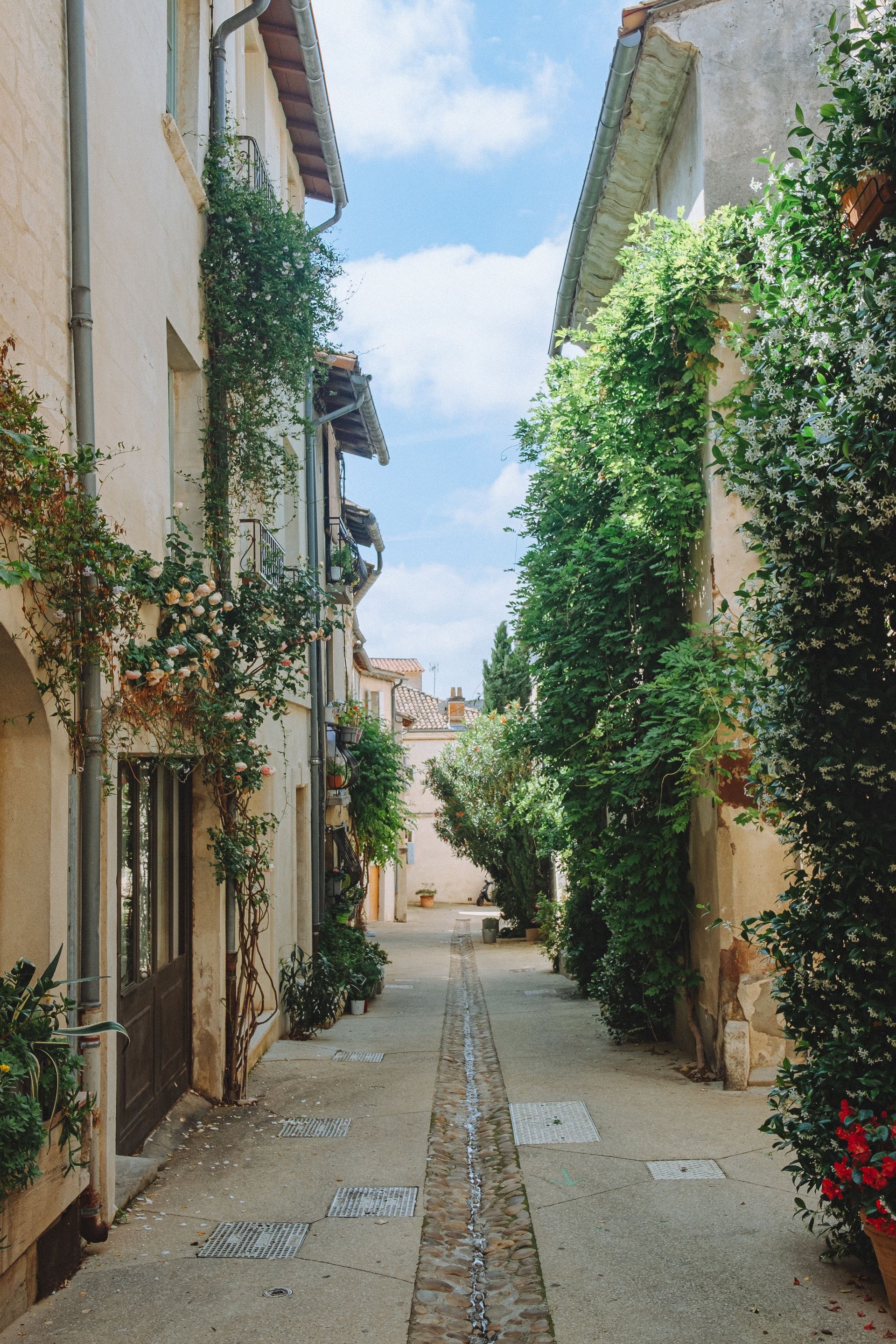 Avignon's Historic Old Town