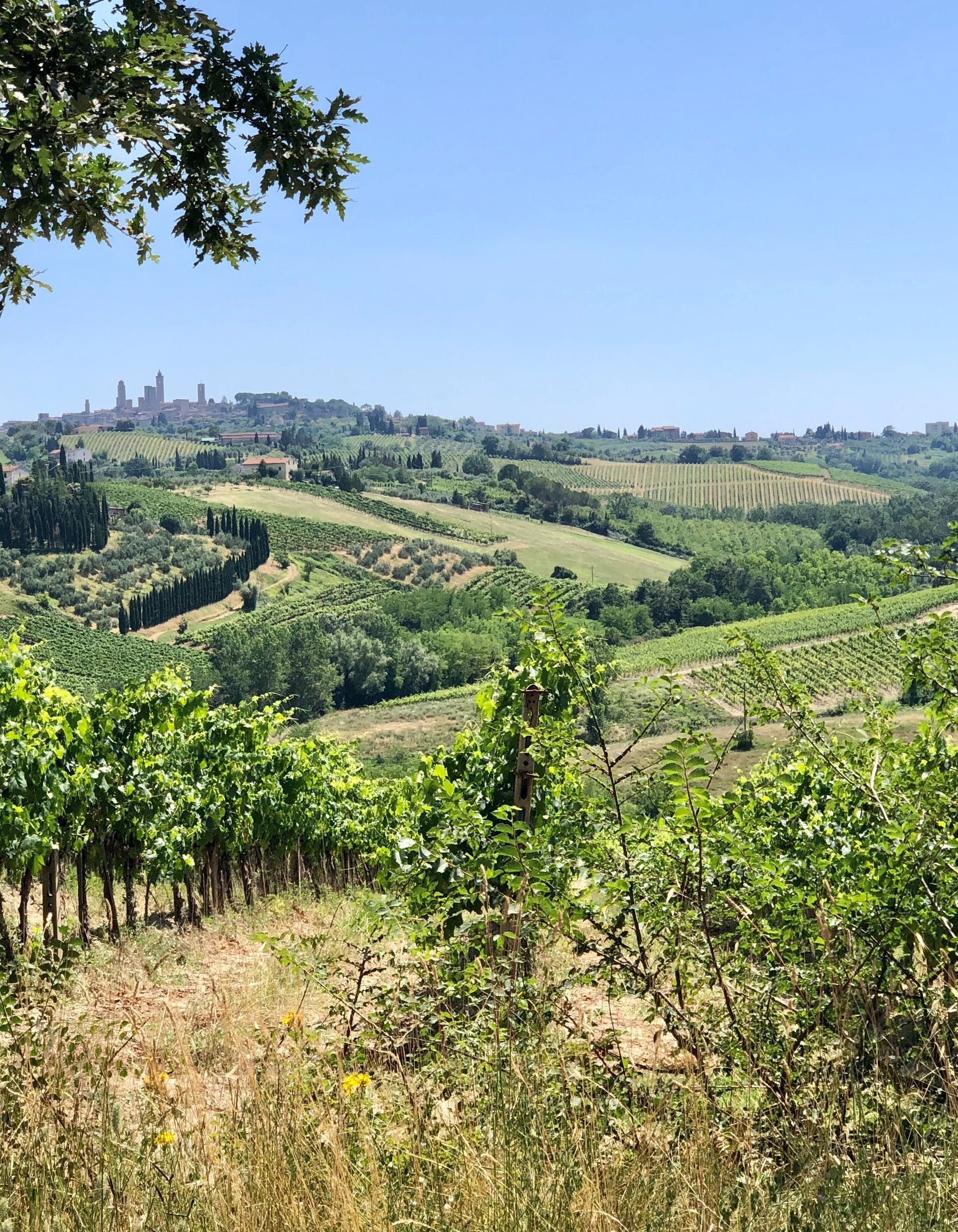 Azienda Agricola La Lastra