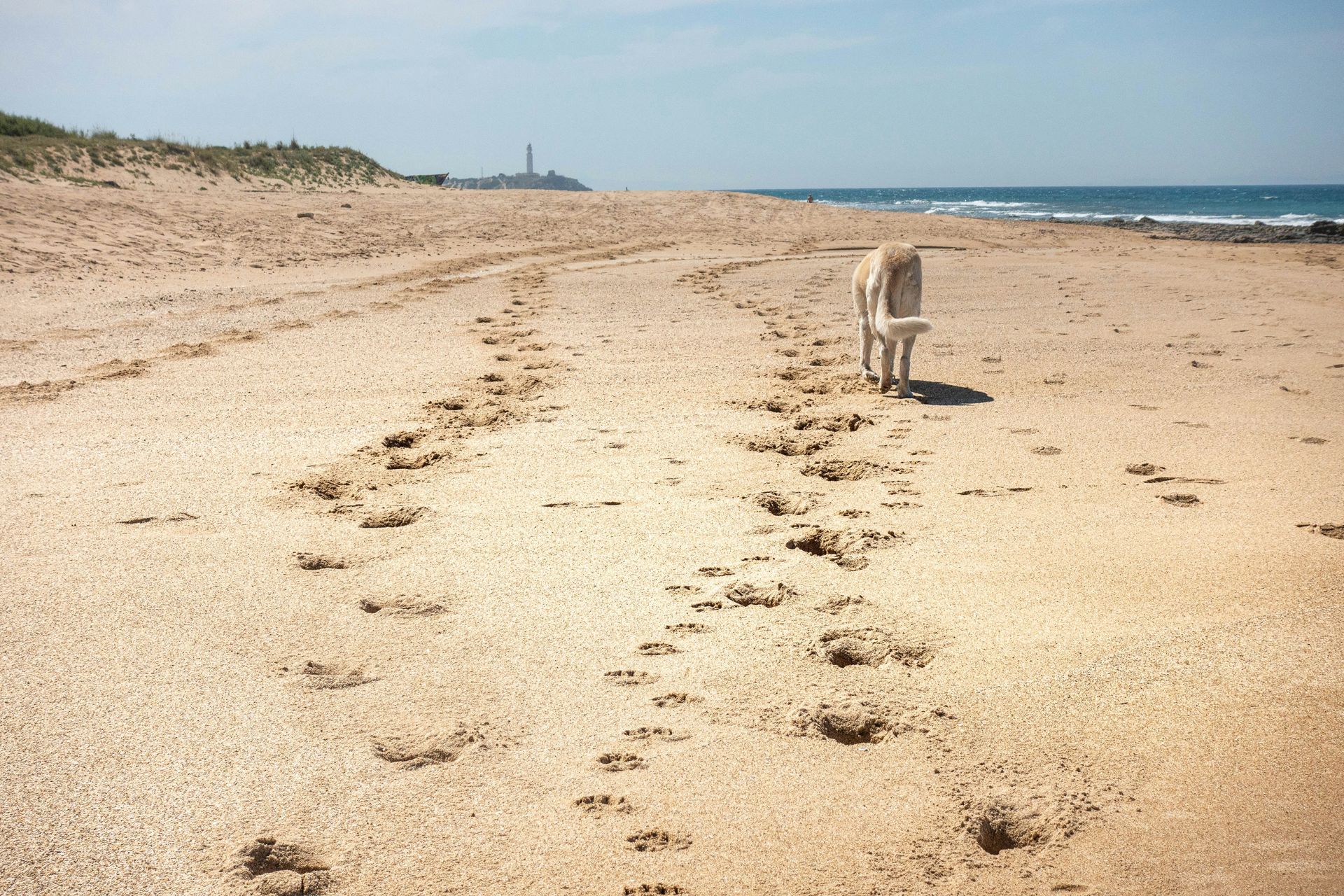 Beach of Los Genoveses