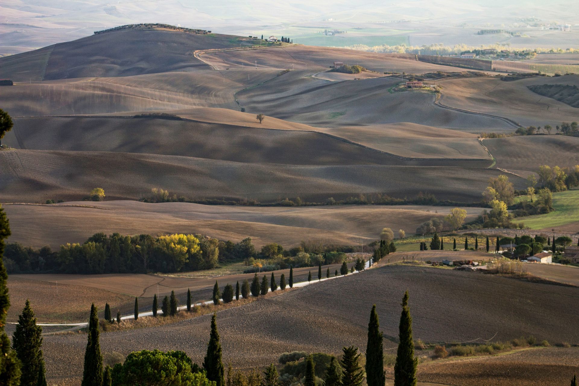 Bolgheri