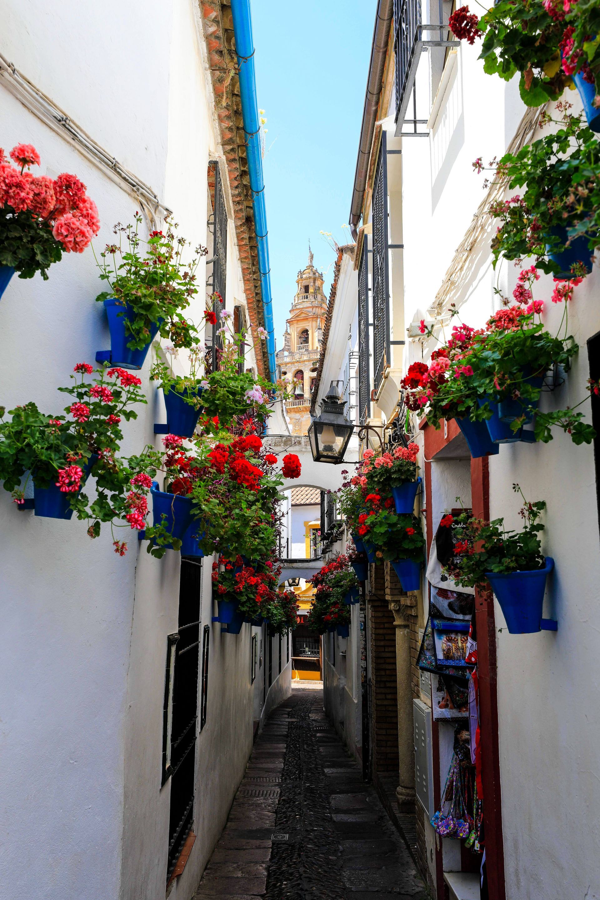 Calleja de las Flores