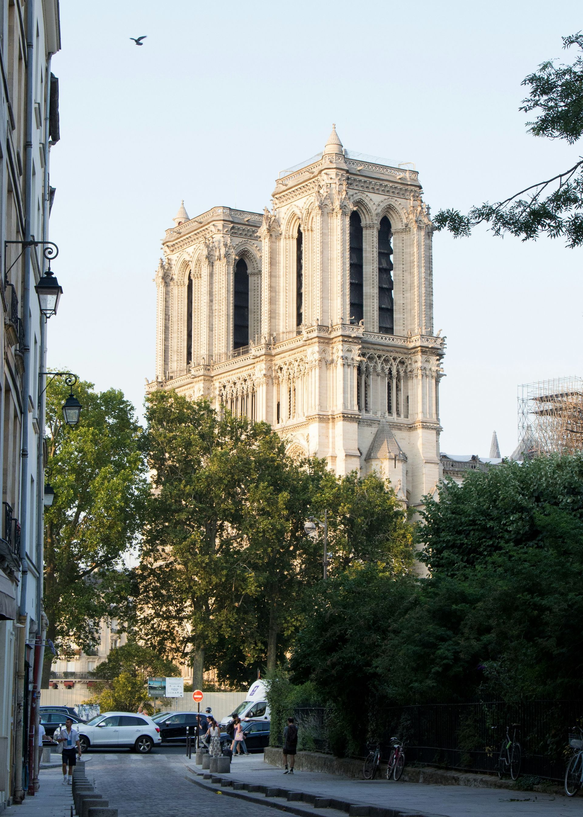 Cathédrale Notre-Dame de Paris