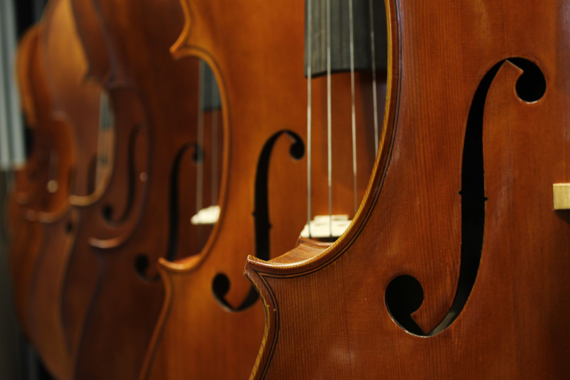 Consorcio Liutai Antonio Stradivari
