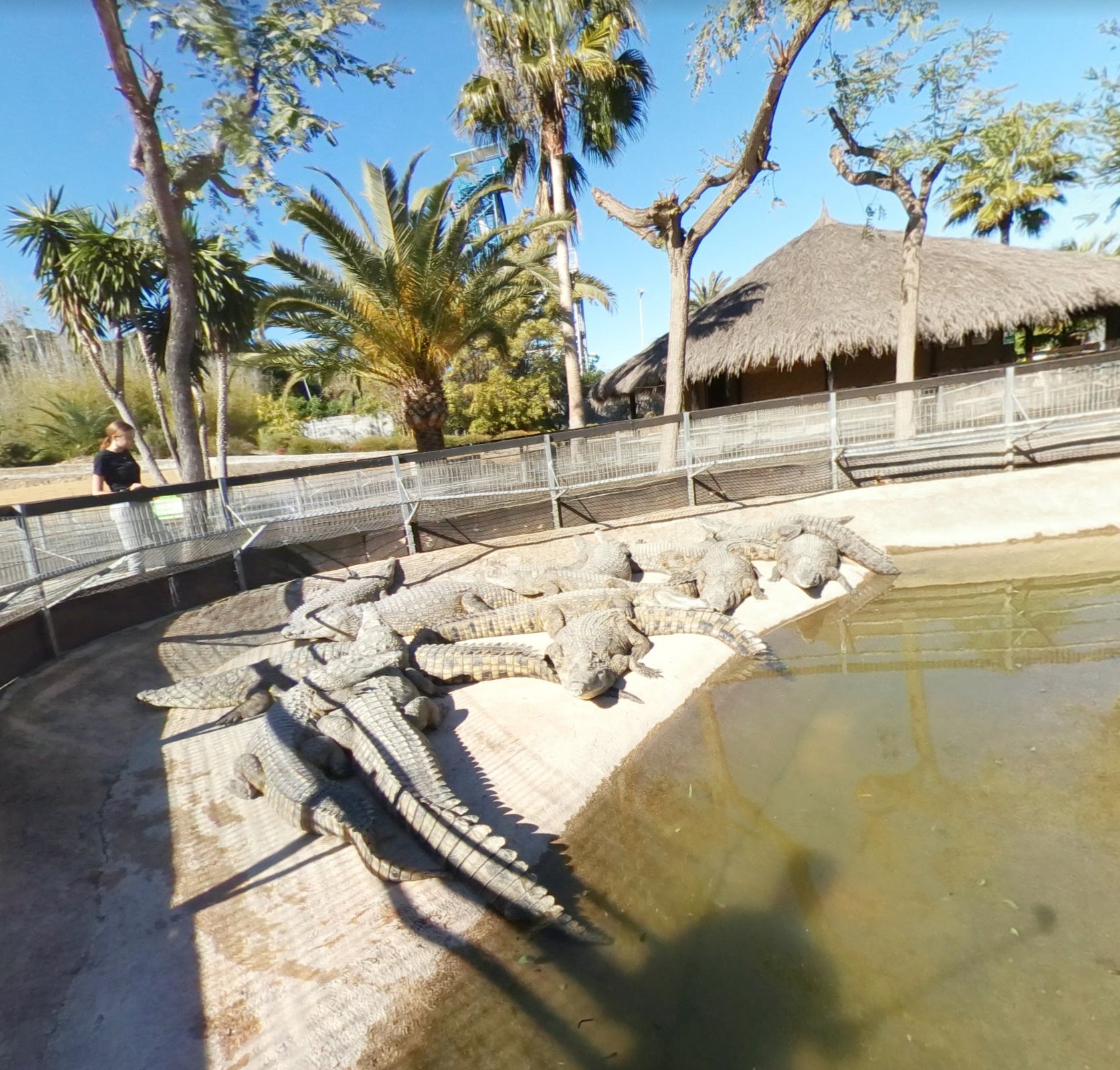 Crocodile Park by Google Earth