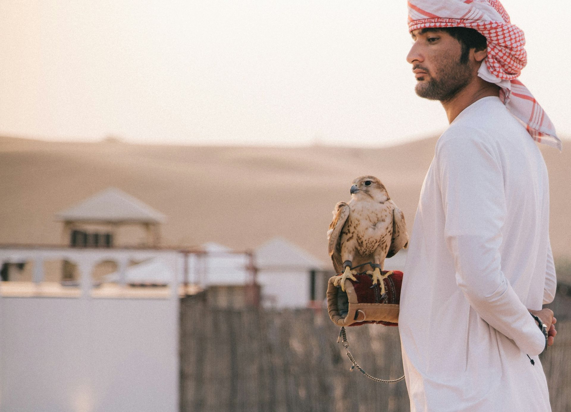 Desert Adventures