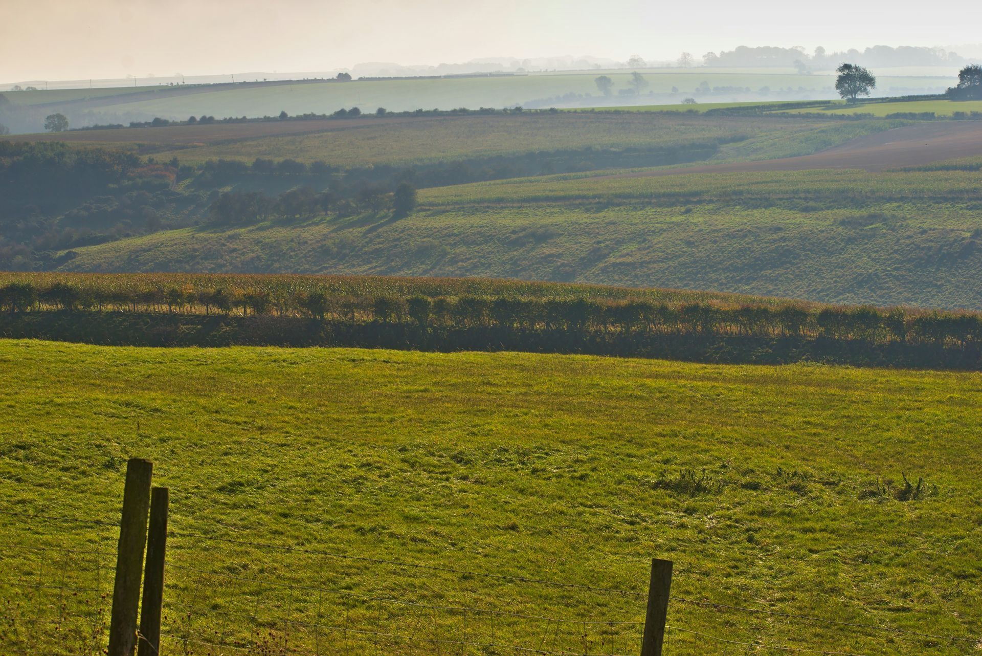 East of England