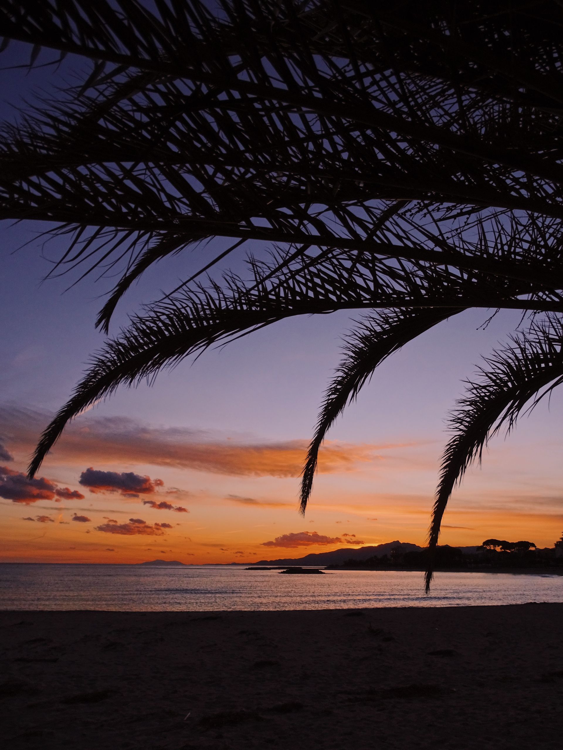 Enjoy a Moonlit Stroll by the Mediterranean