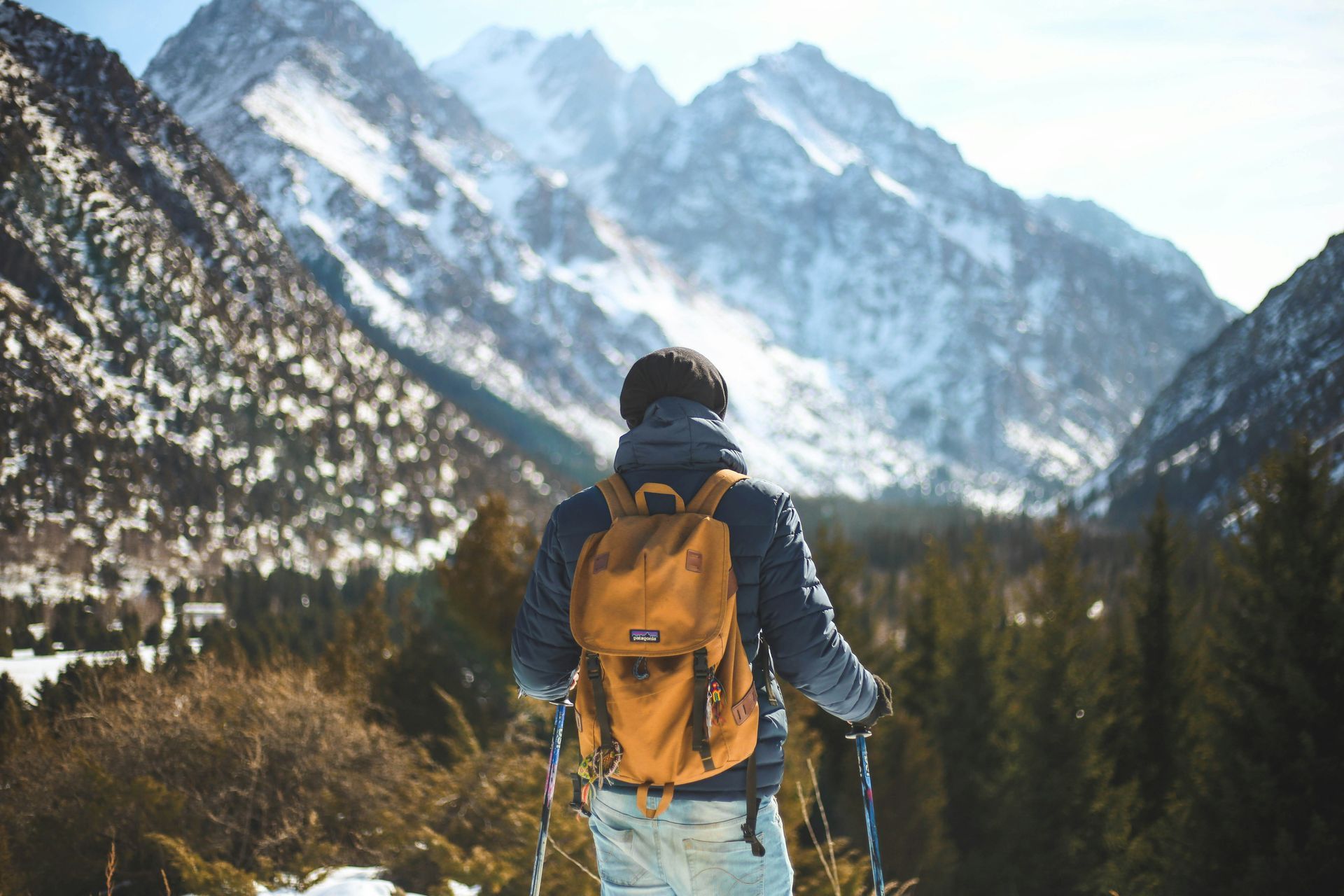A person with a backpack looking at mountains