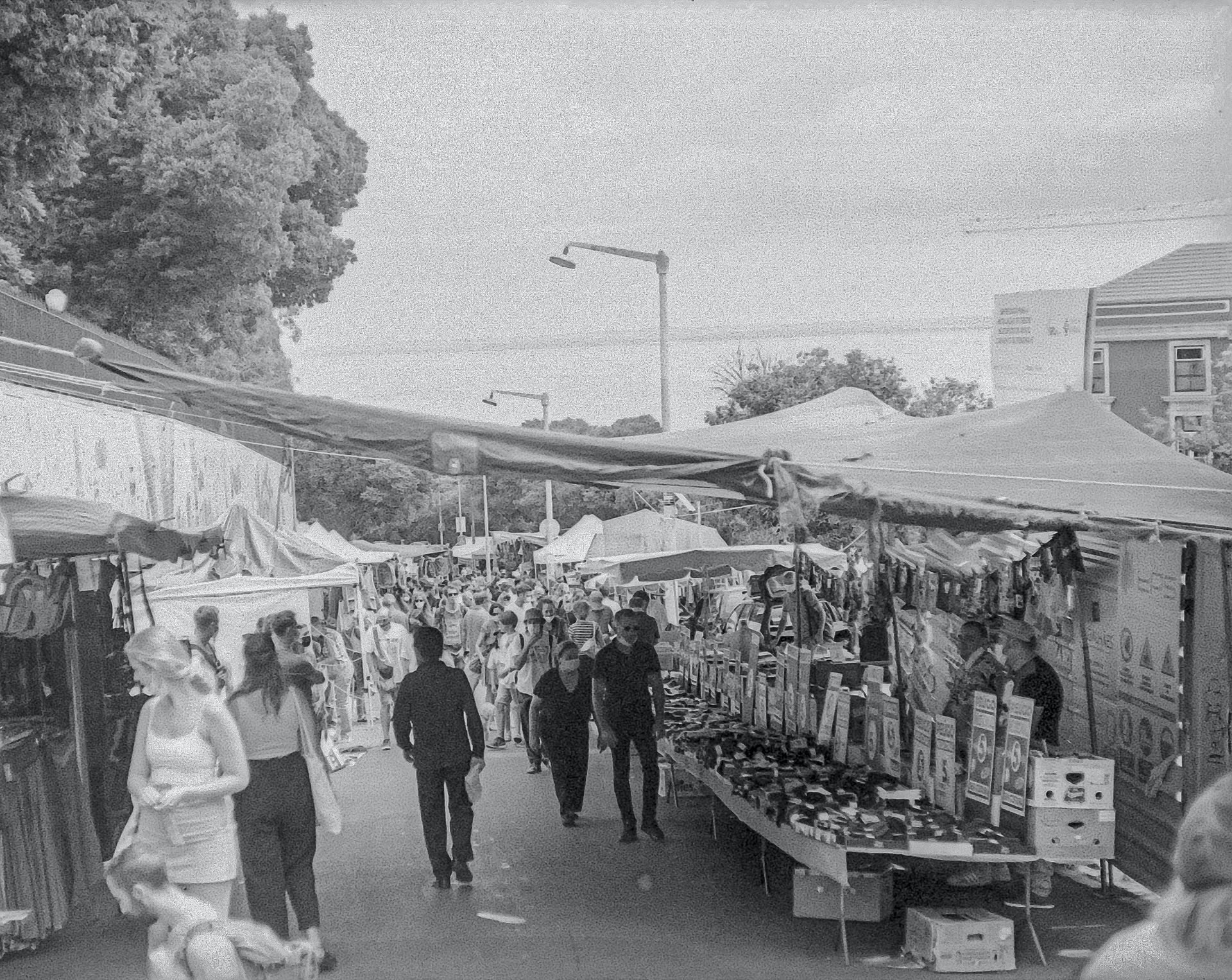 Feira da Gata