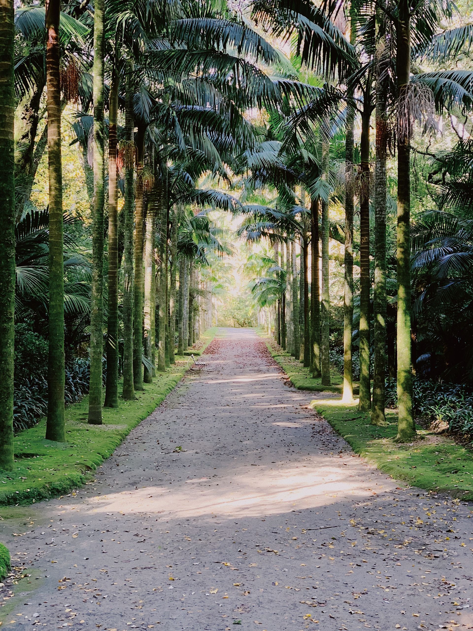 Gardens and Parks in Ponta Delgada