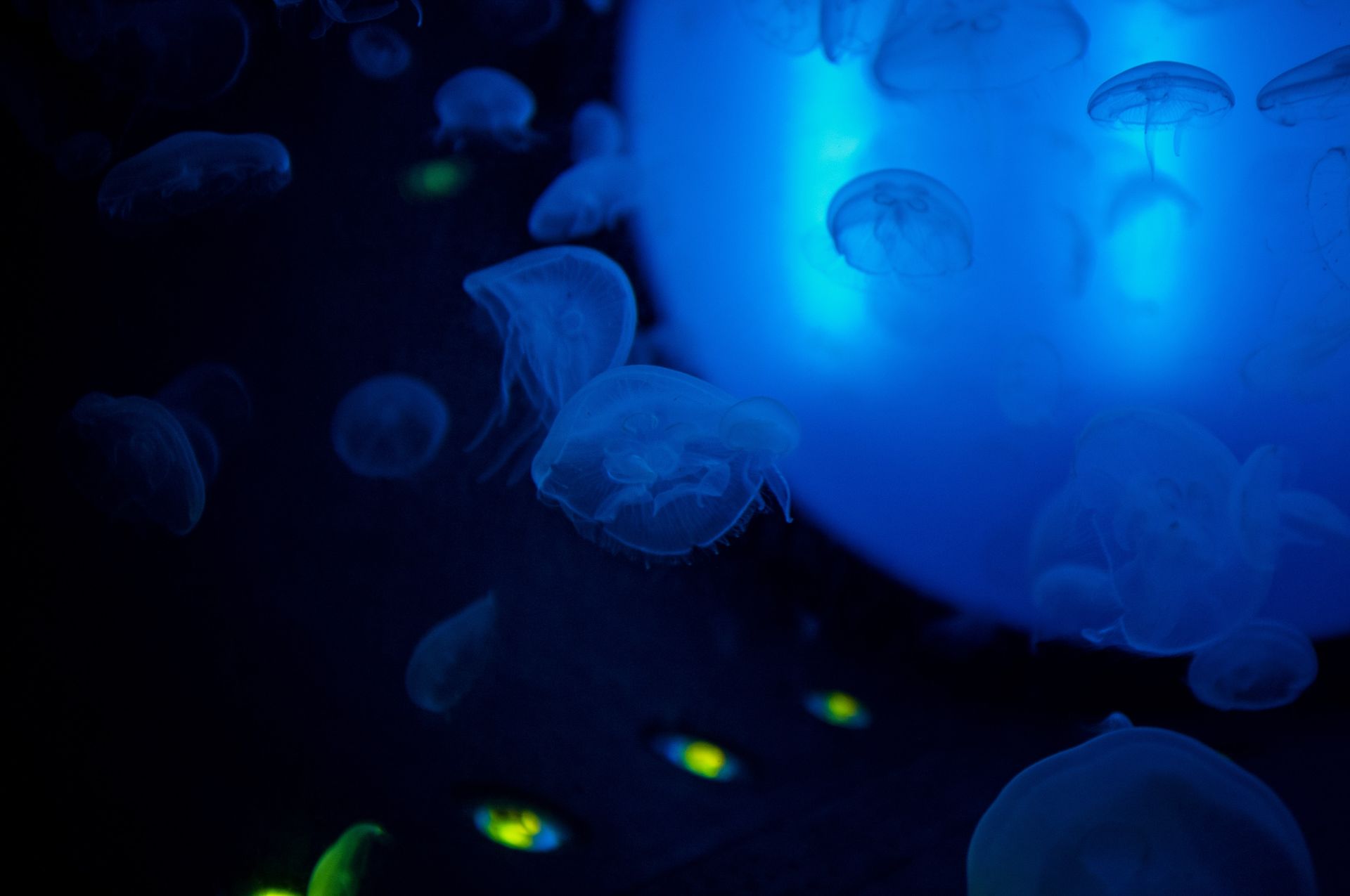 Grand Aquarium Saint Malo