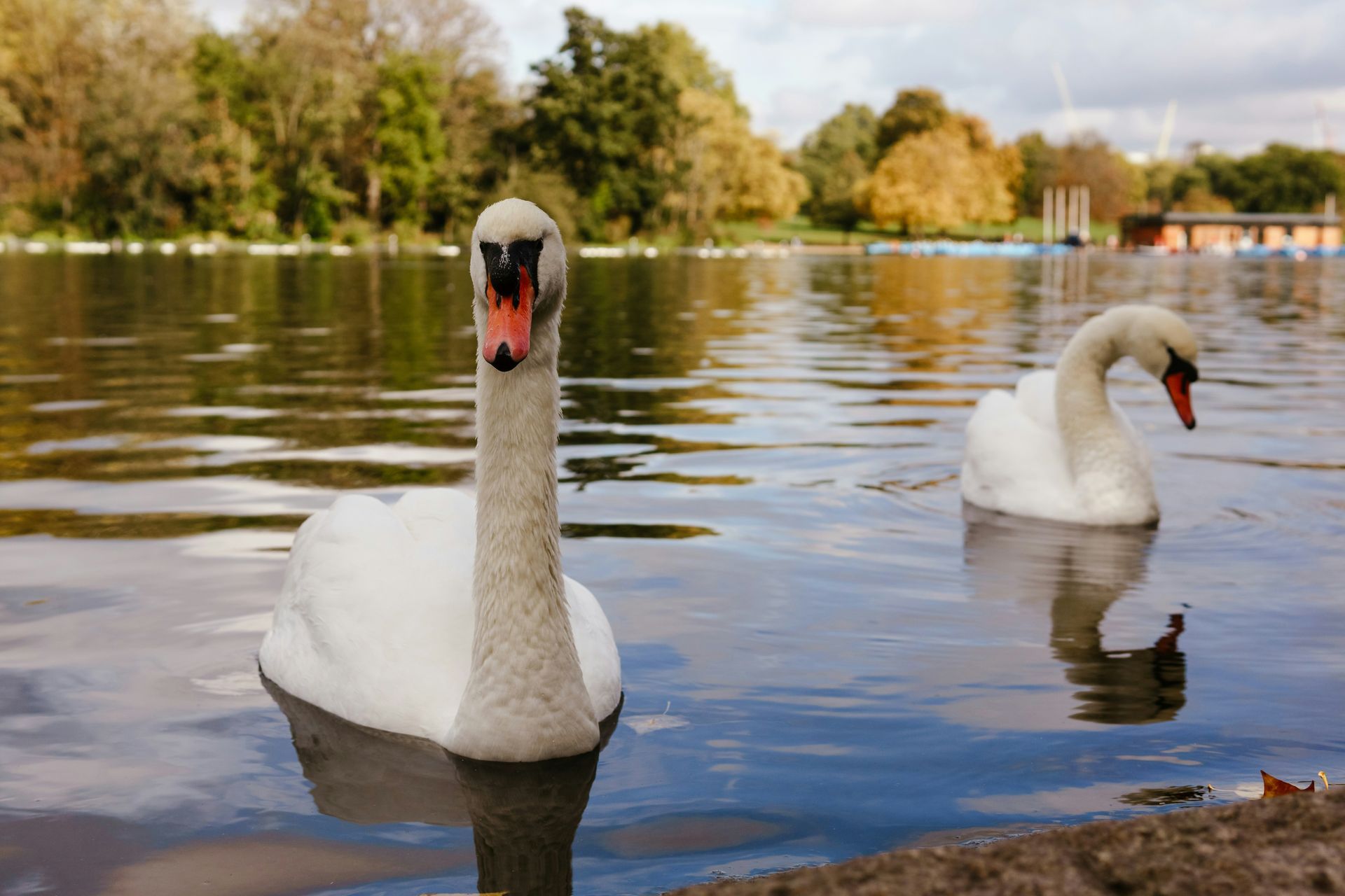 Hyde Park