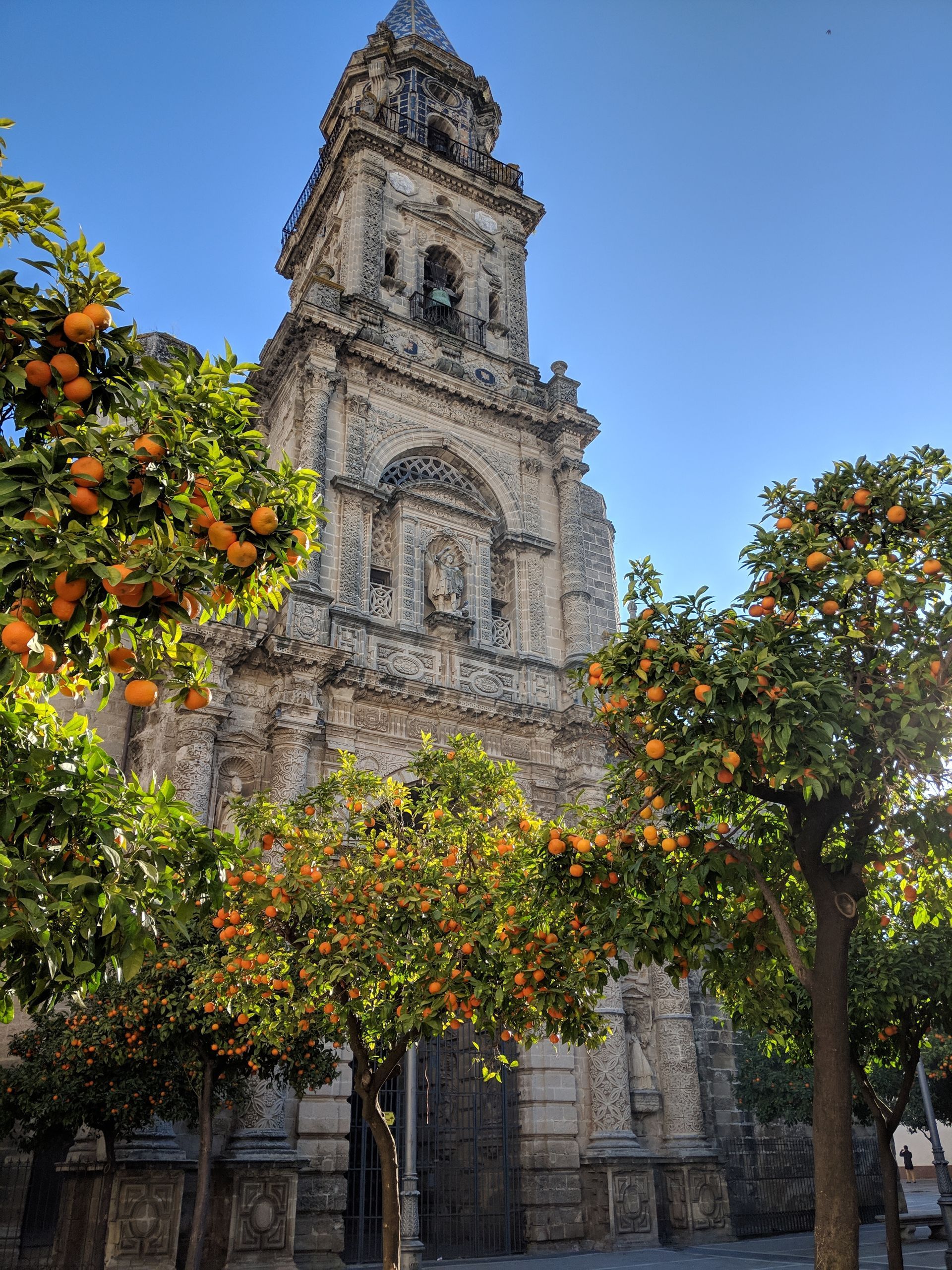 Jerez Cathedral Square