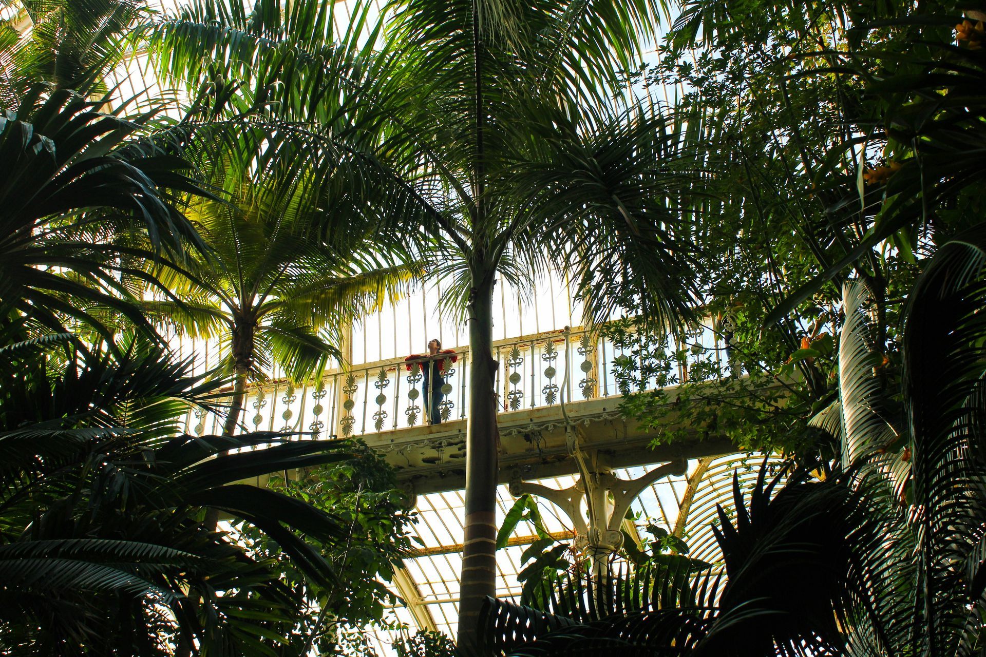 Kew Gardens