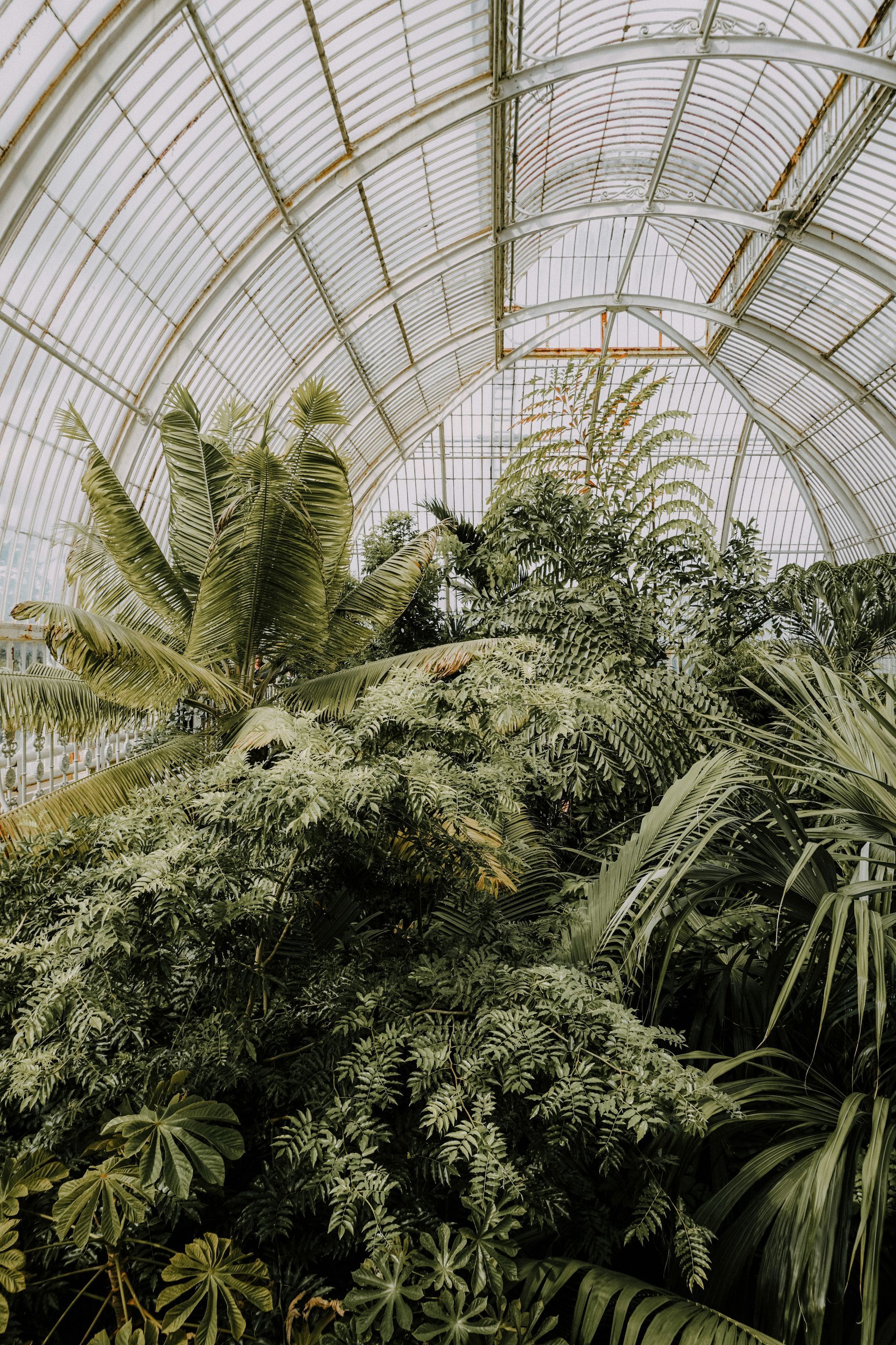 Kew Gardens