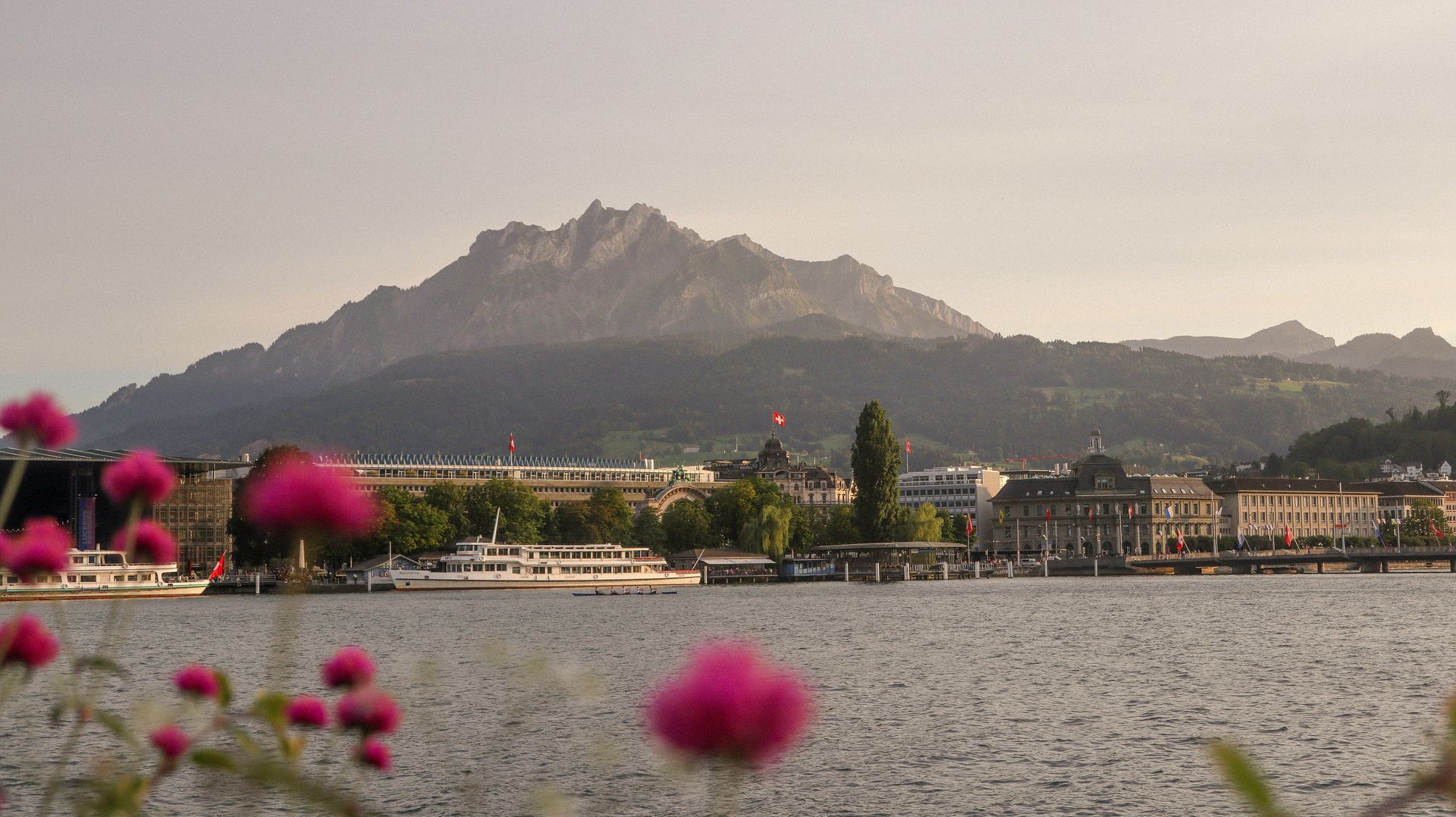 Lucerne