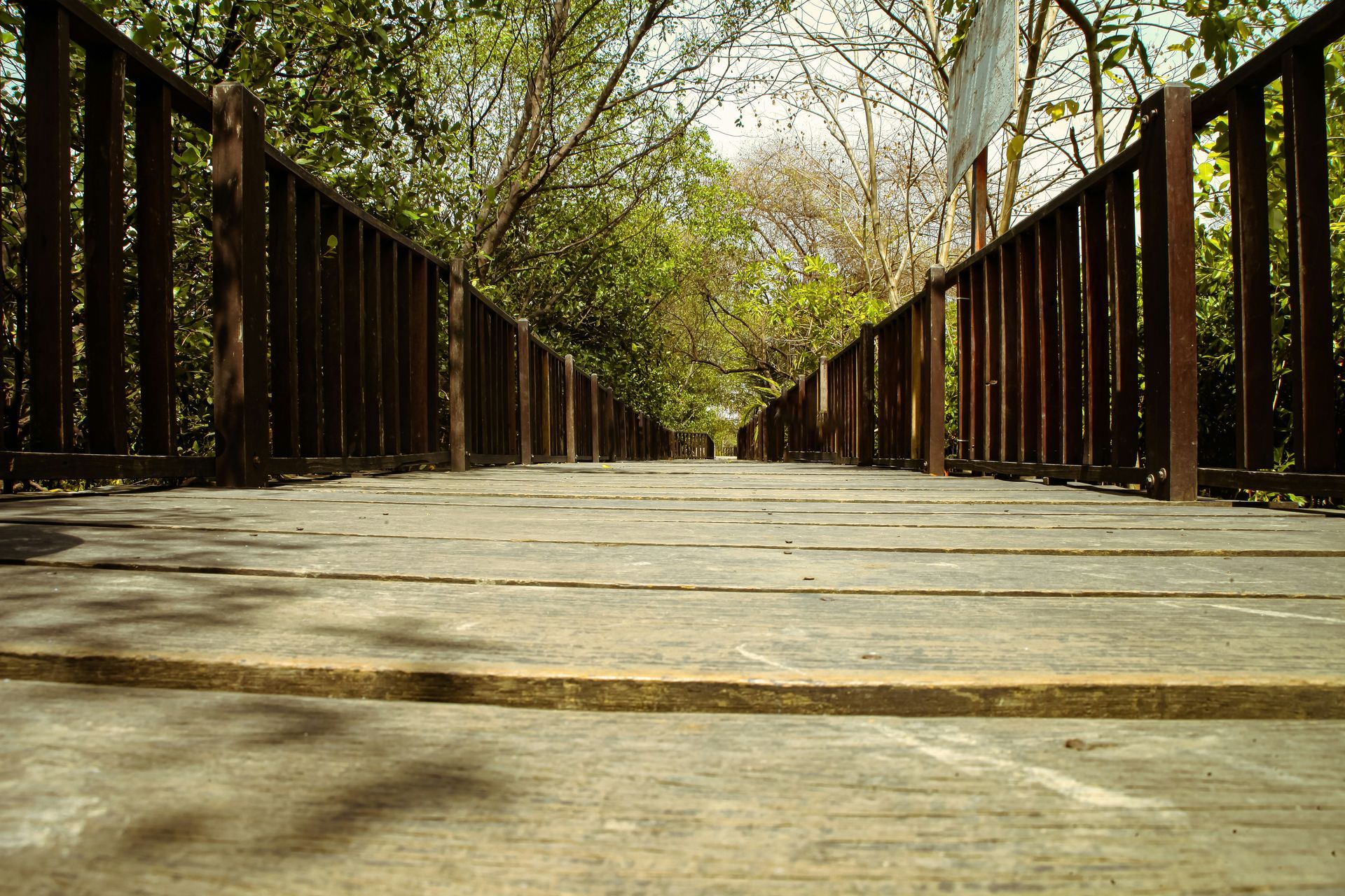 Mangrove National Park
