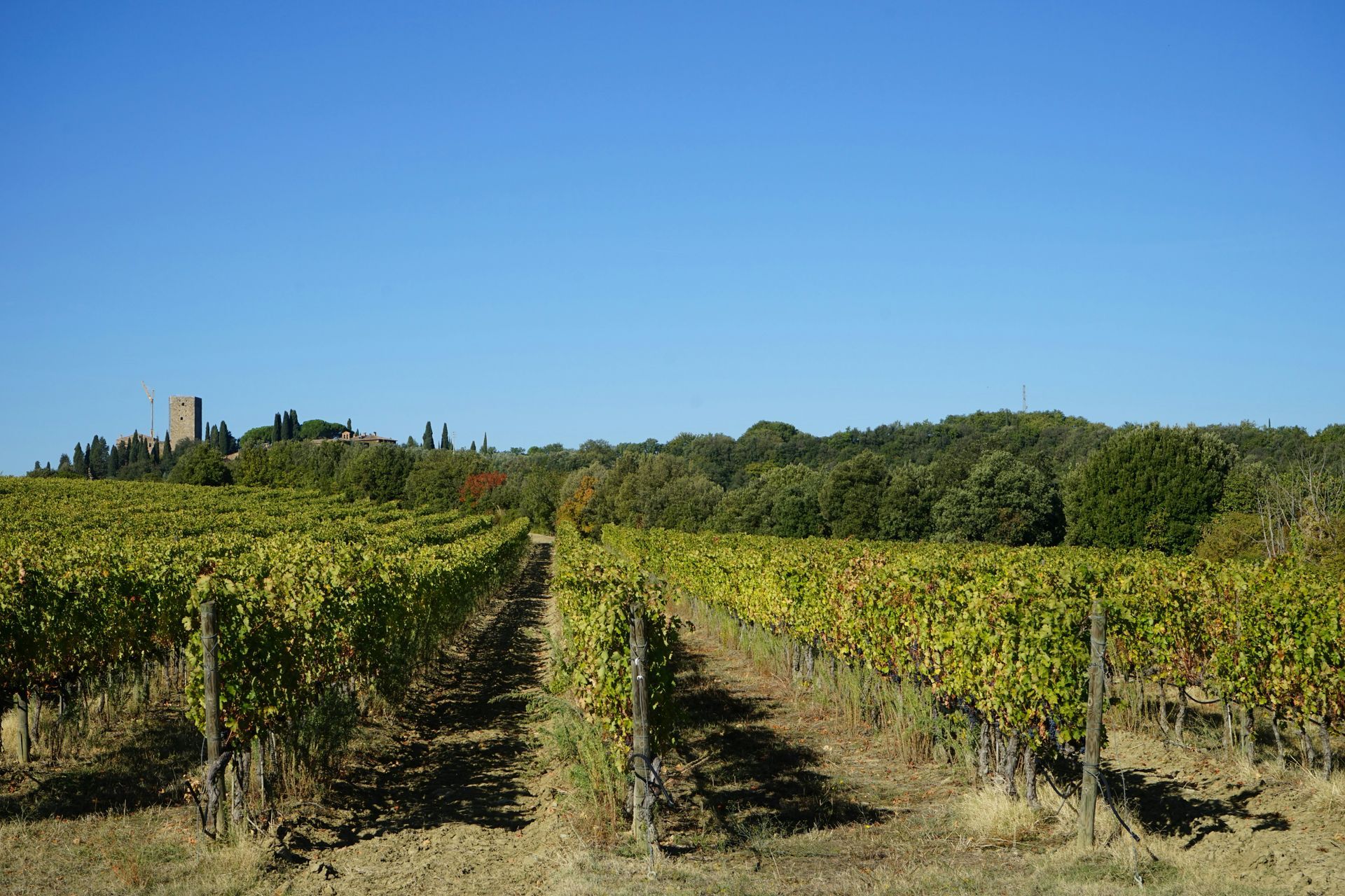 Montalcino