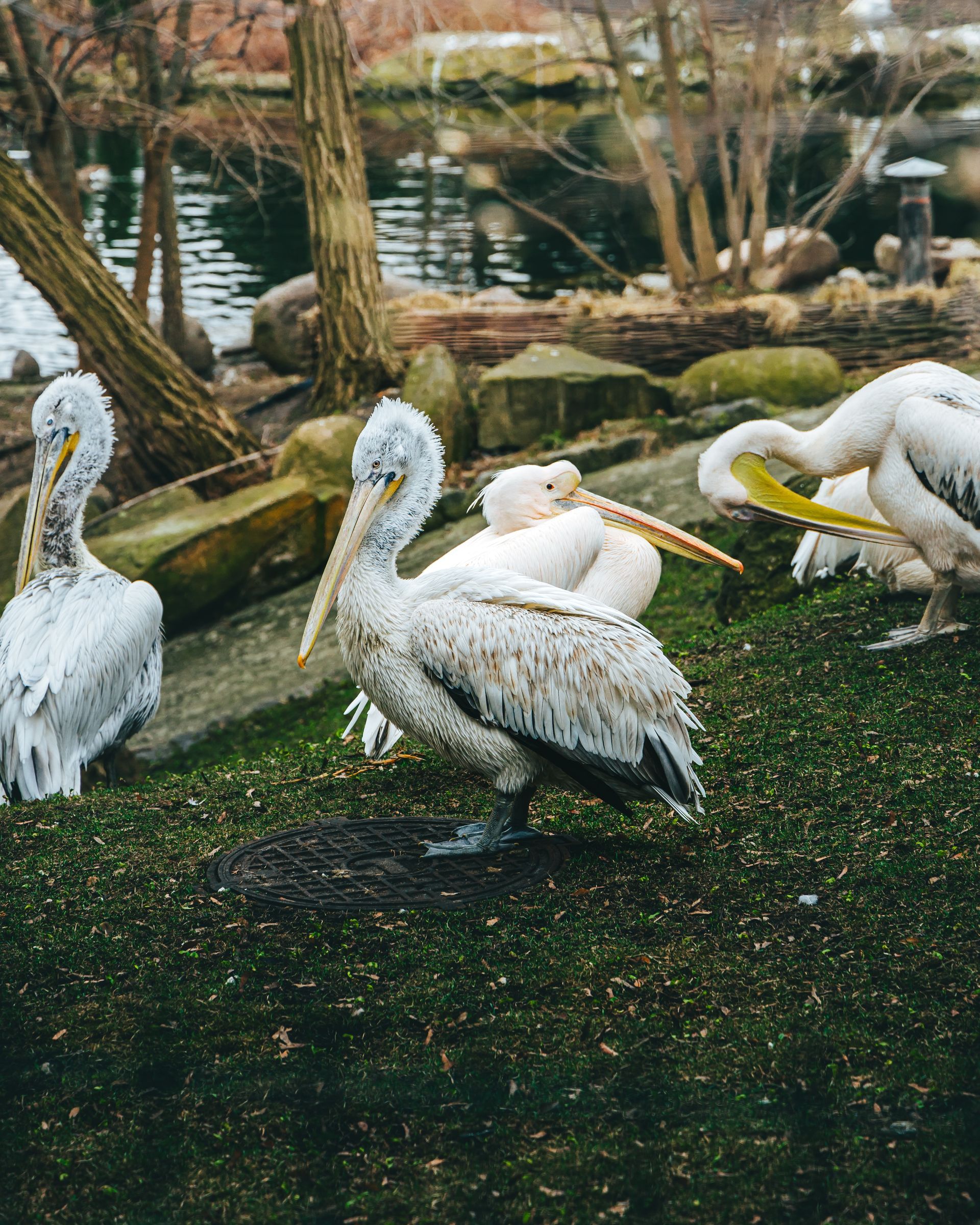 Mundomar Marine and Exotic Animal Park