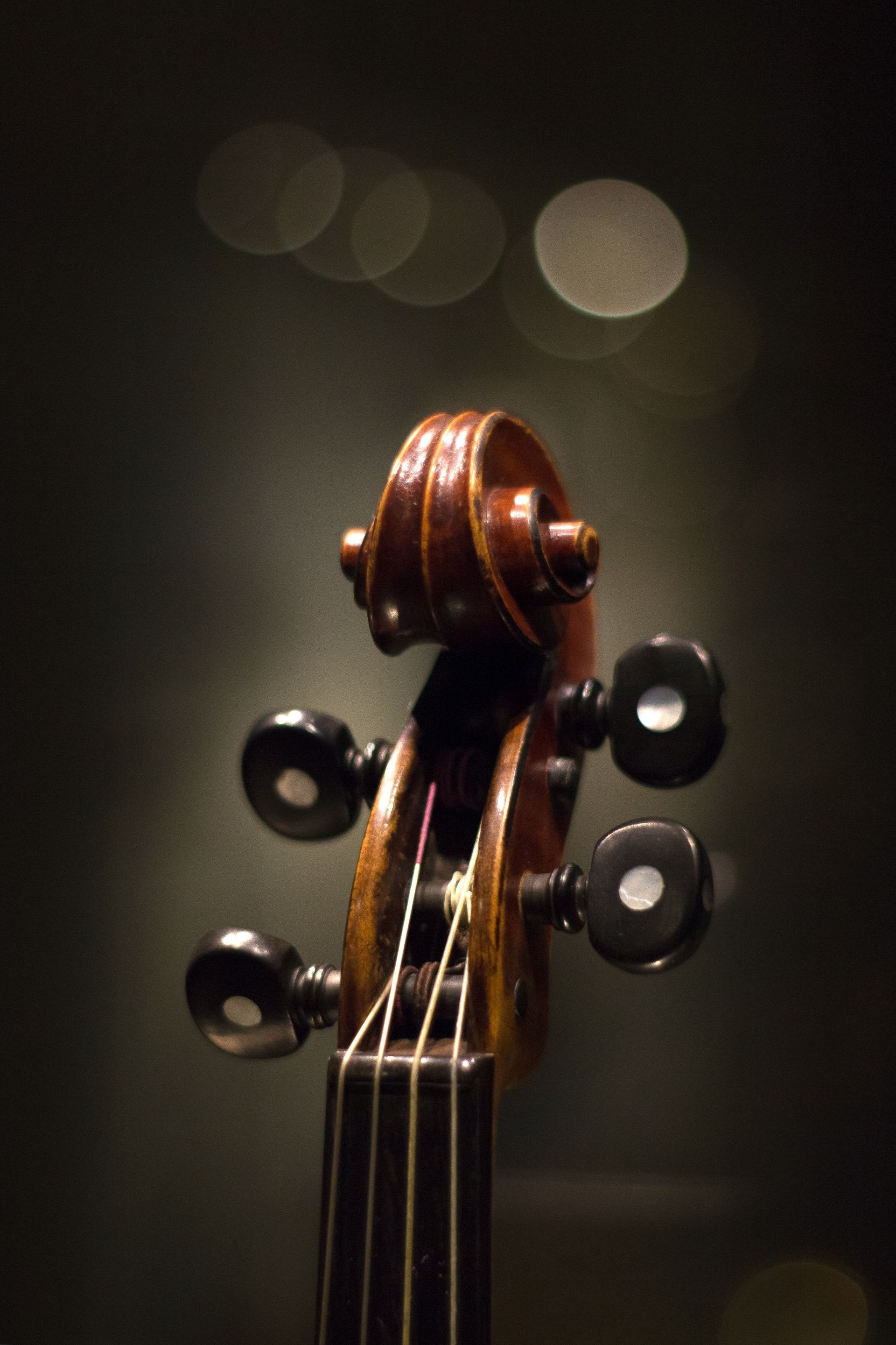 Museo del Violino of Cremona