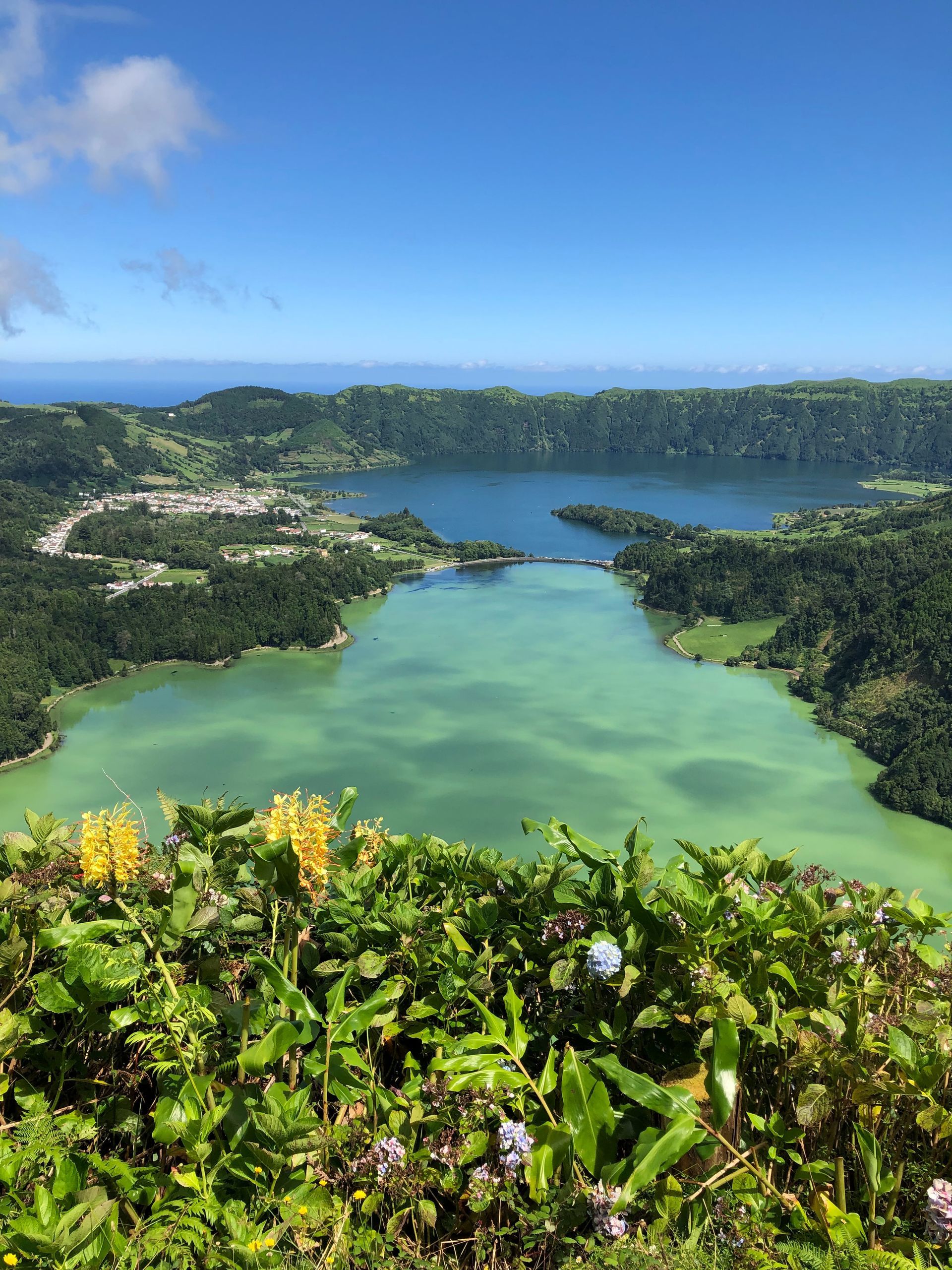 Nature's Bounty in Ponta Delgada