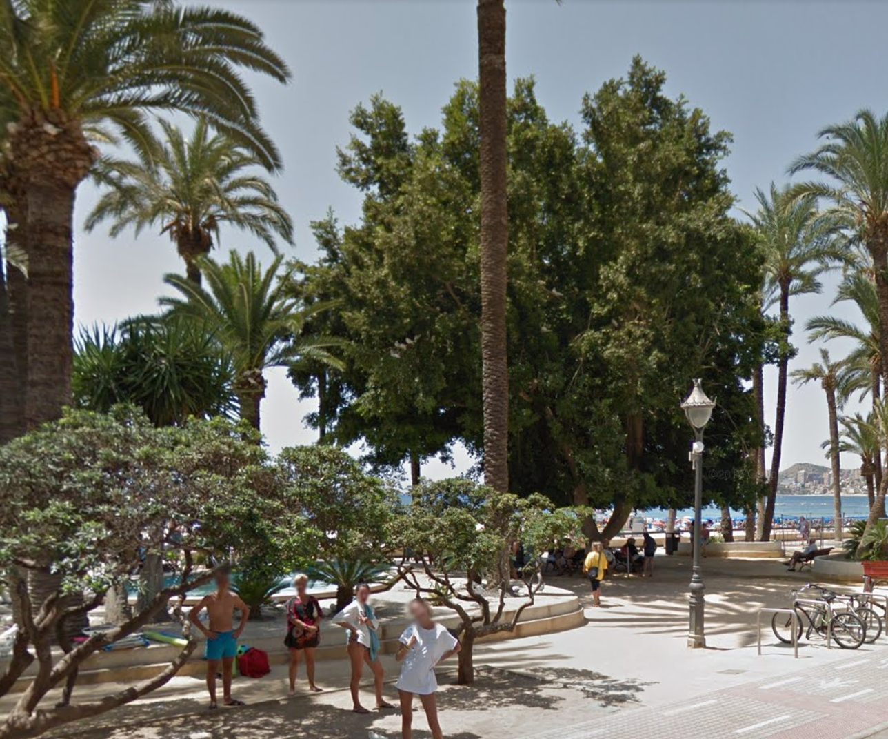 Parque de Elche by Google Earth