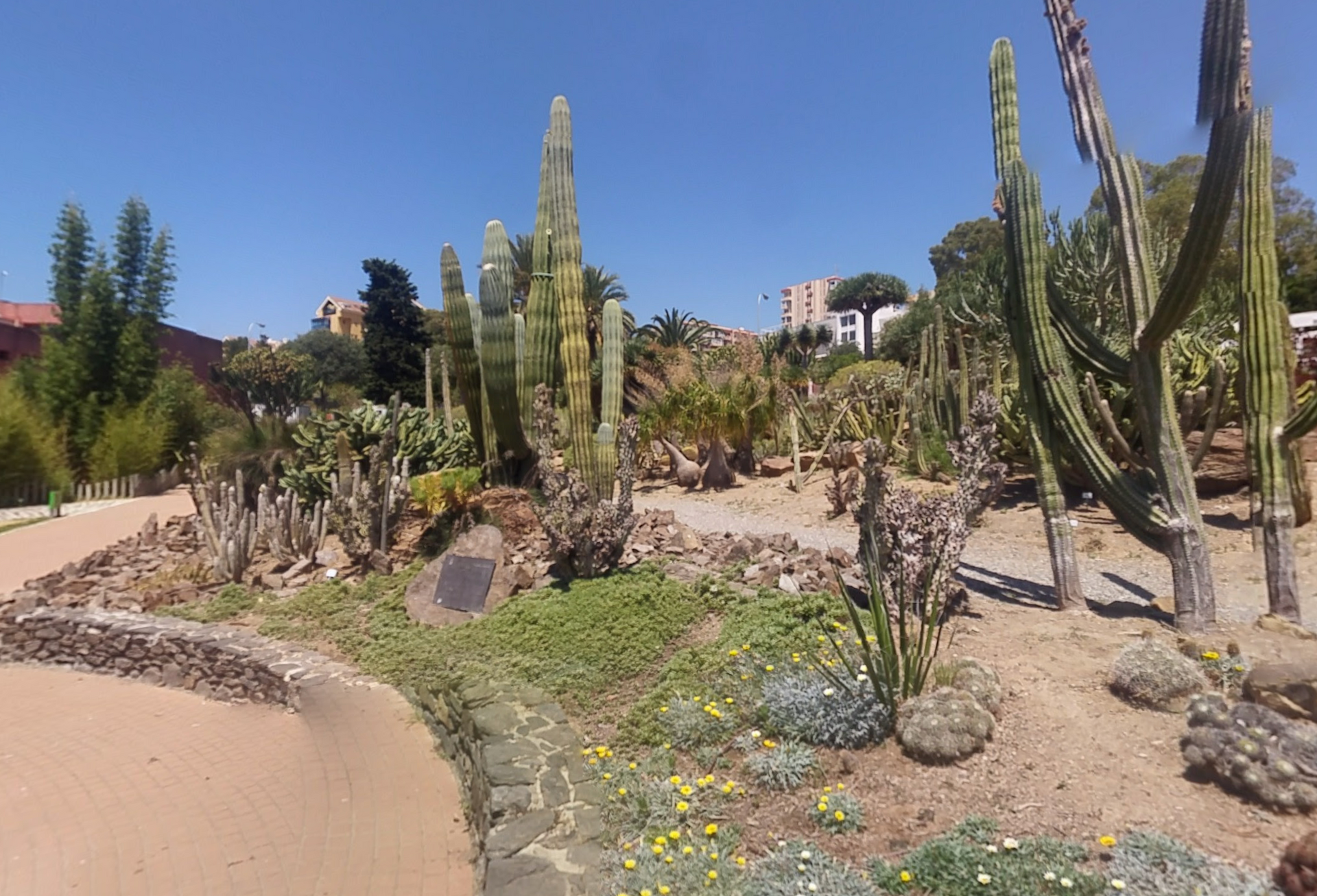 Parque de la Paloma by Google Earth