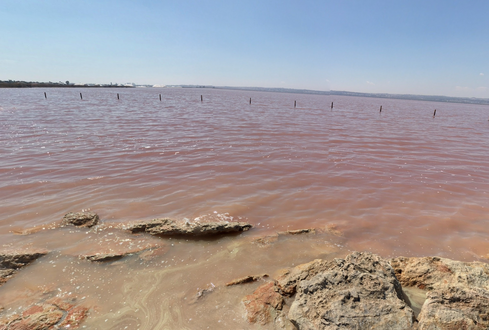 Pink Lagoon by Google Earth