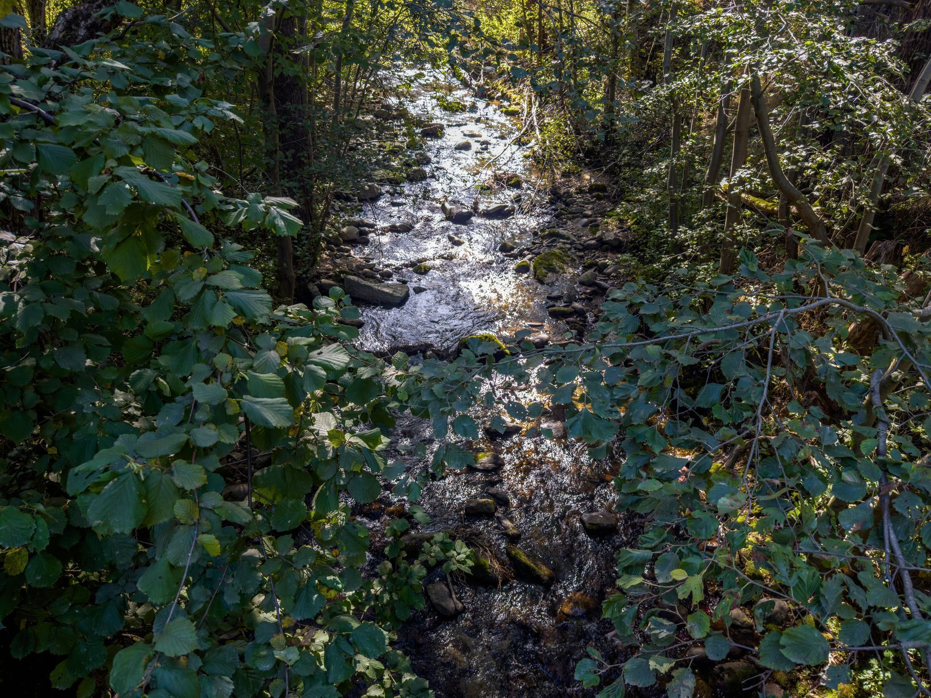 Piovego River