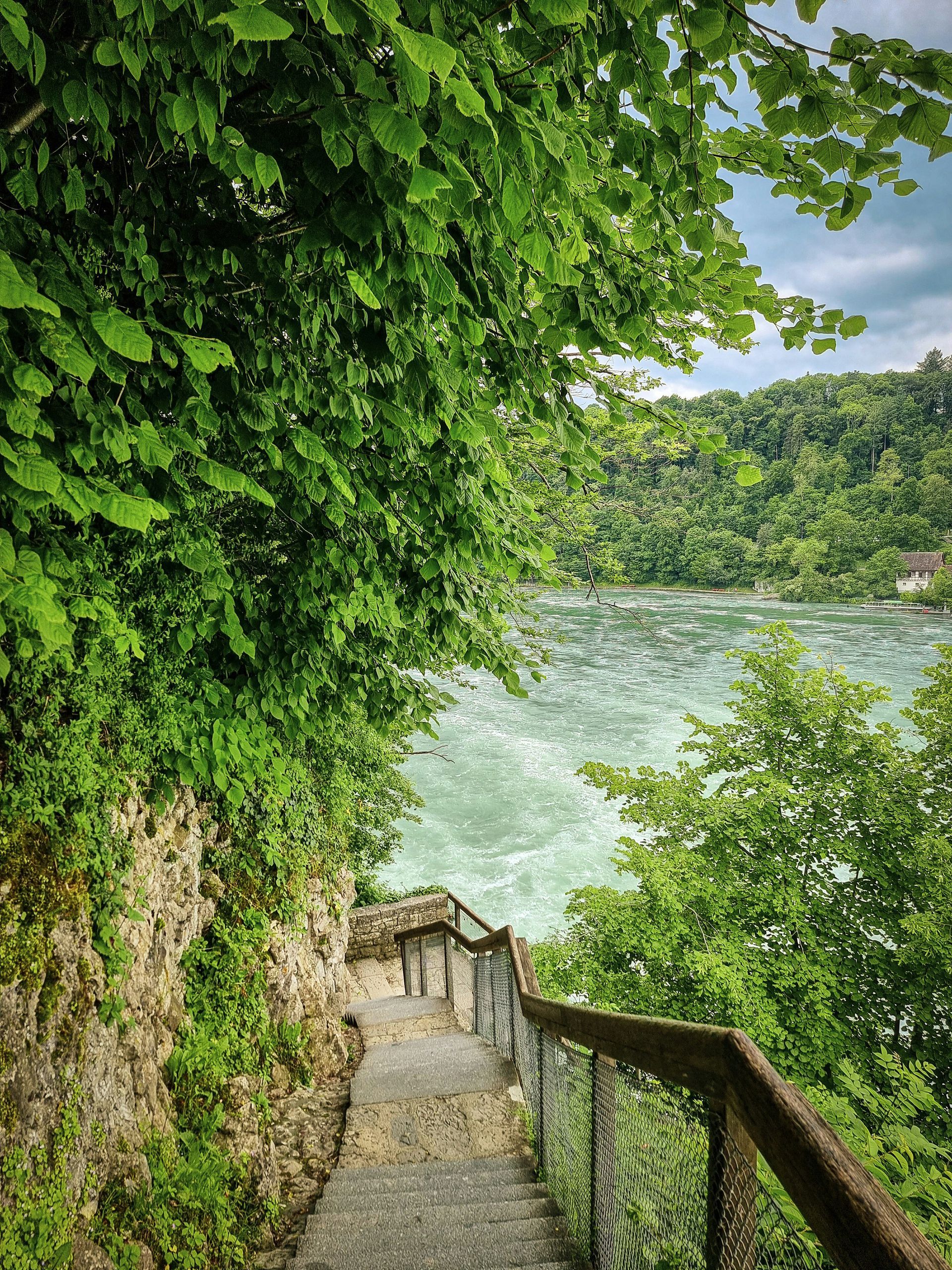 Rhine Falls