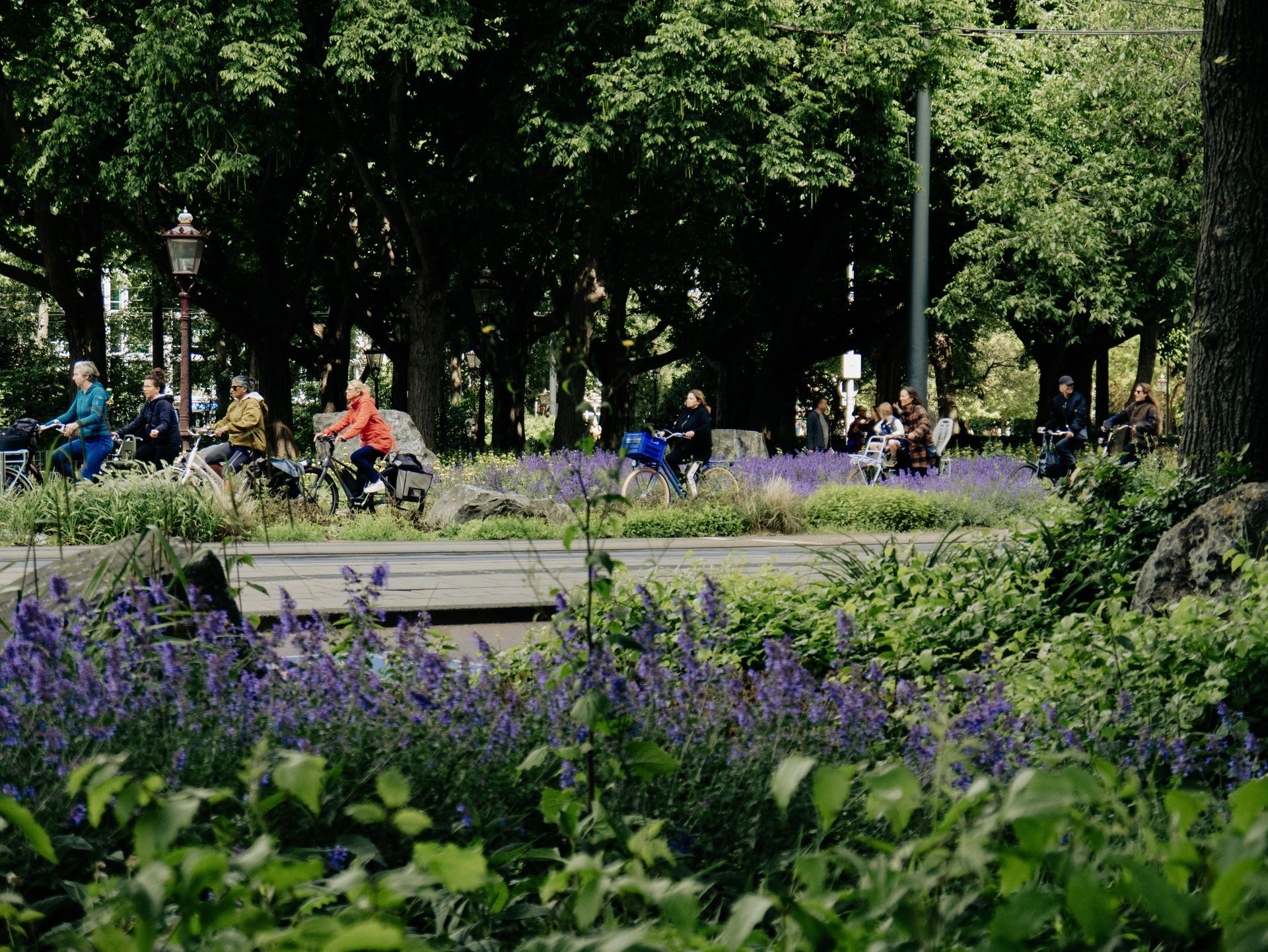Amsterdam Parks