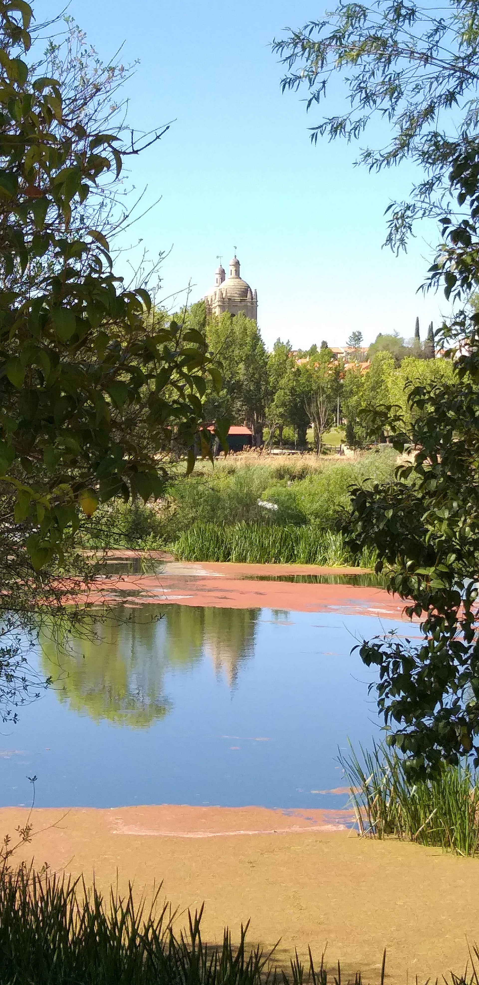 Salamanca Park