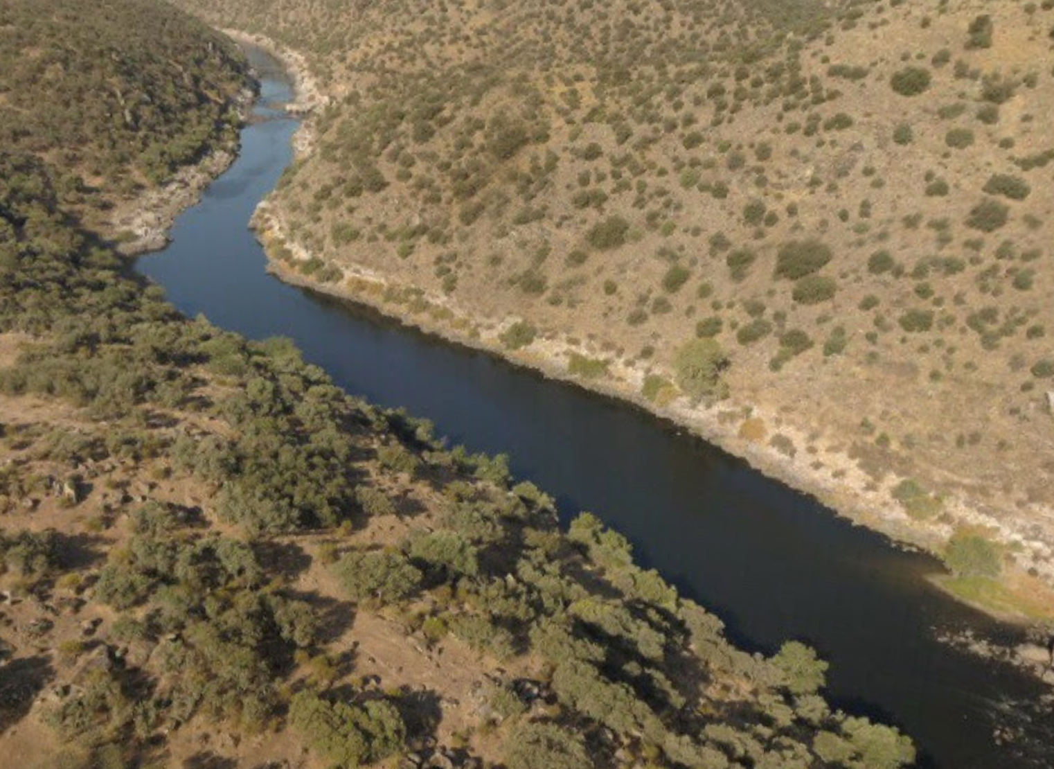 Tagus River by Google Earth