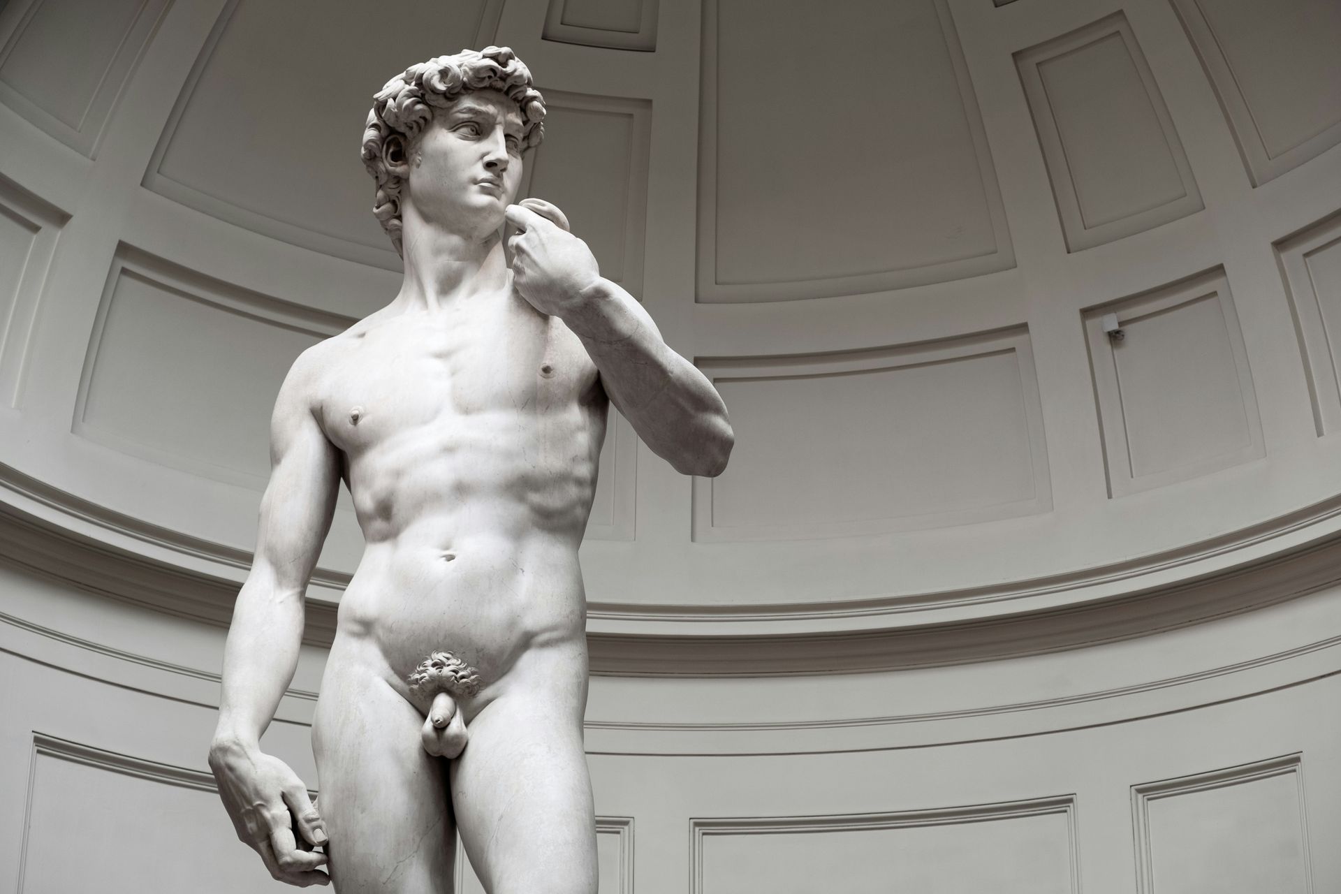 The Statue of David Florence
