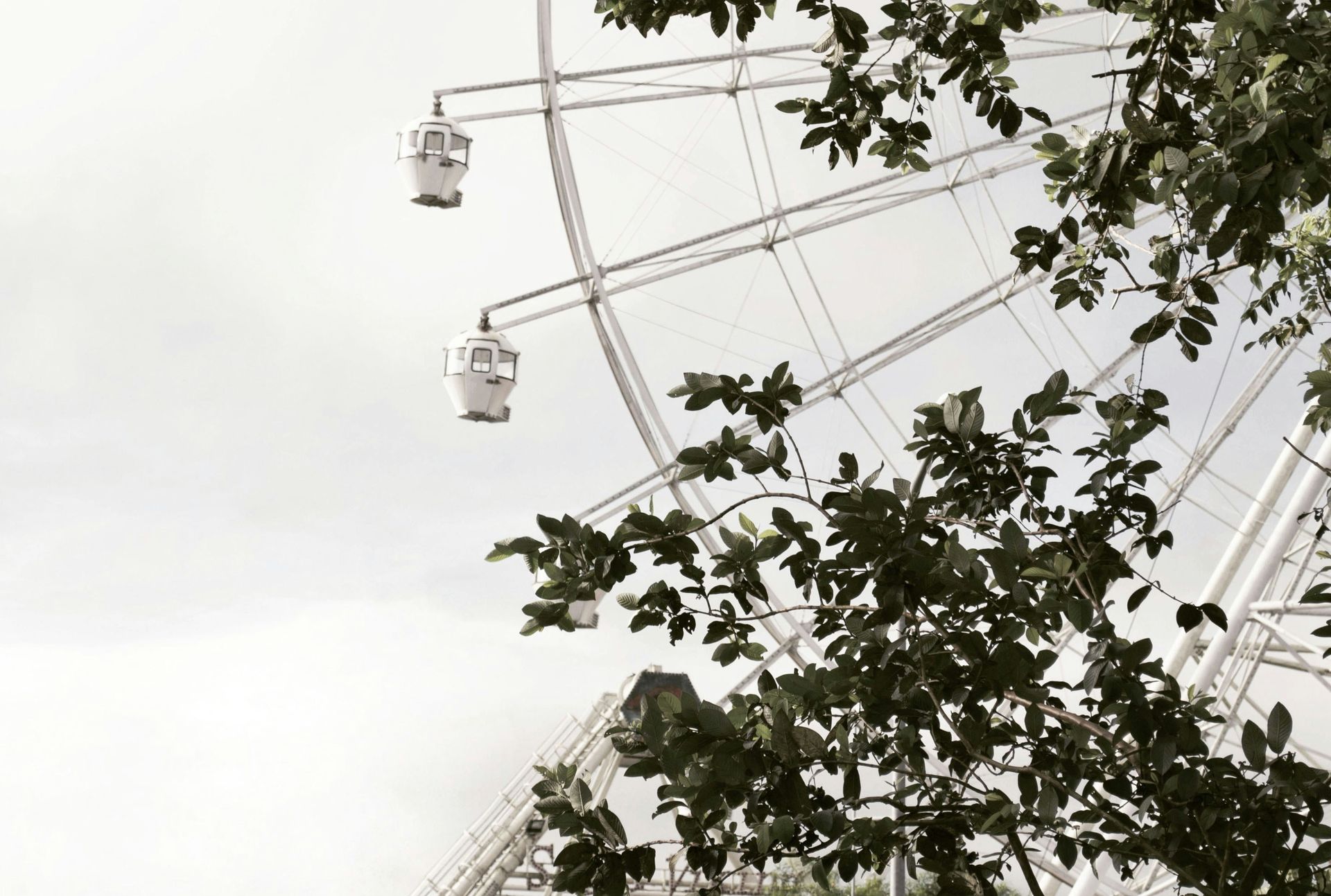 Theme park