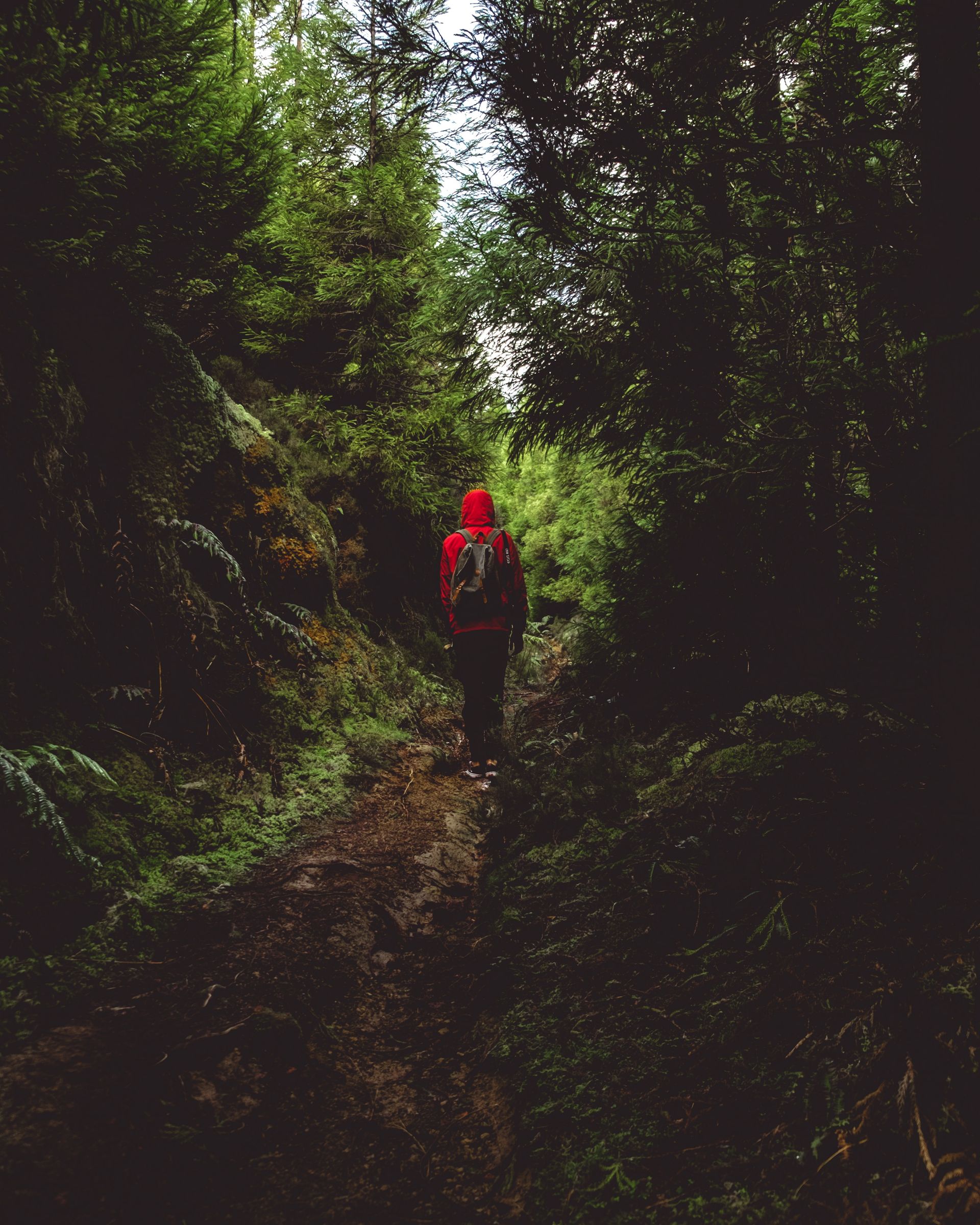 Things to Do in Ponta Delgada on a Budget