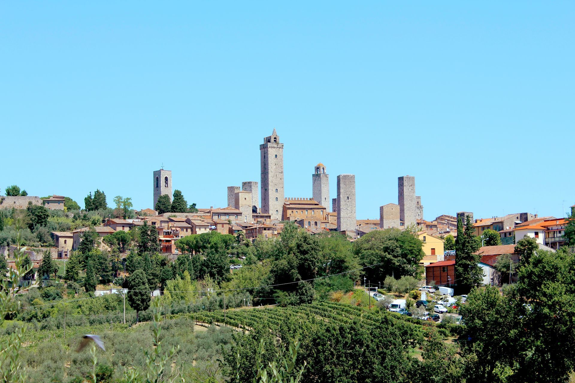 Things to do in San Gimignano