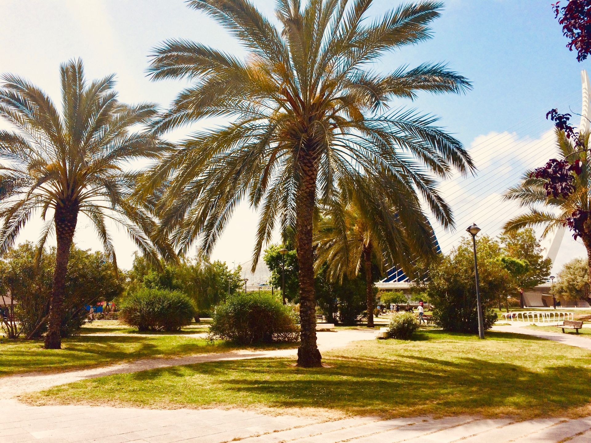 Turia Gardens